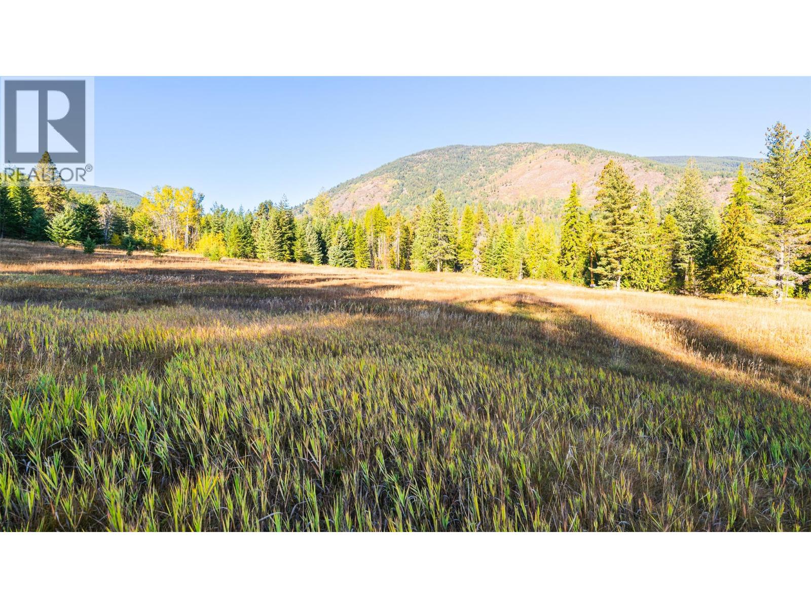 Lot 1 Corn Creek Road, Creston, British Columbia  V0B 1G7 - Photo 3 - 10365295