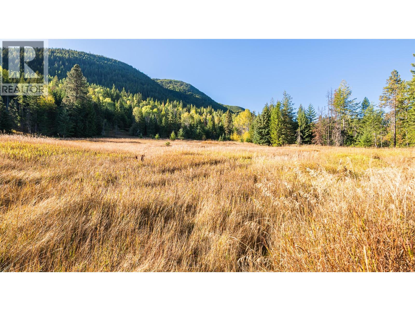 Lot 1 Corn Creek Road, Creston, British Columbia  V0B 1G7 - Photo 5 - 10365295
