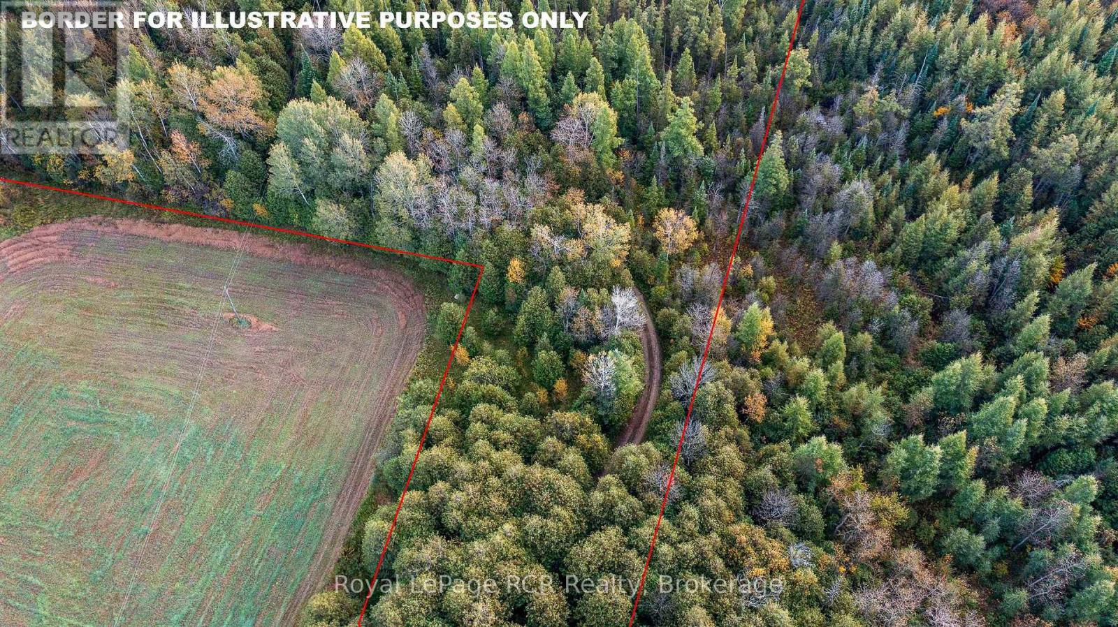 315693 6 Highway, Chatsworth, Ontario  N0H 1G0 - Photo 5 - X12452031