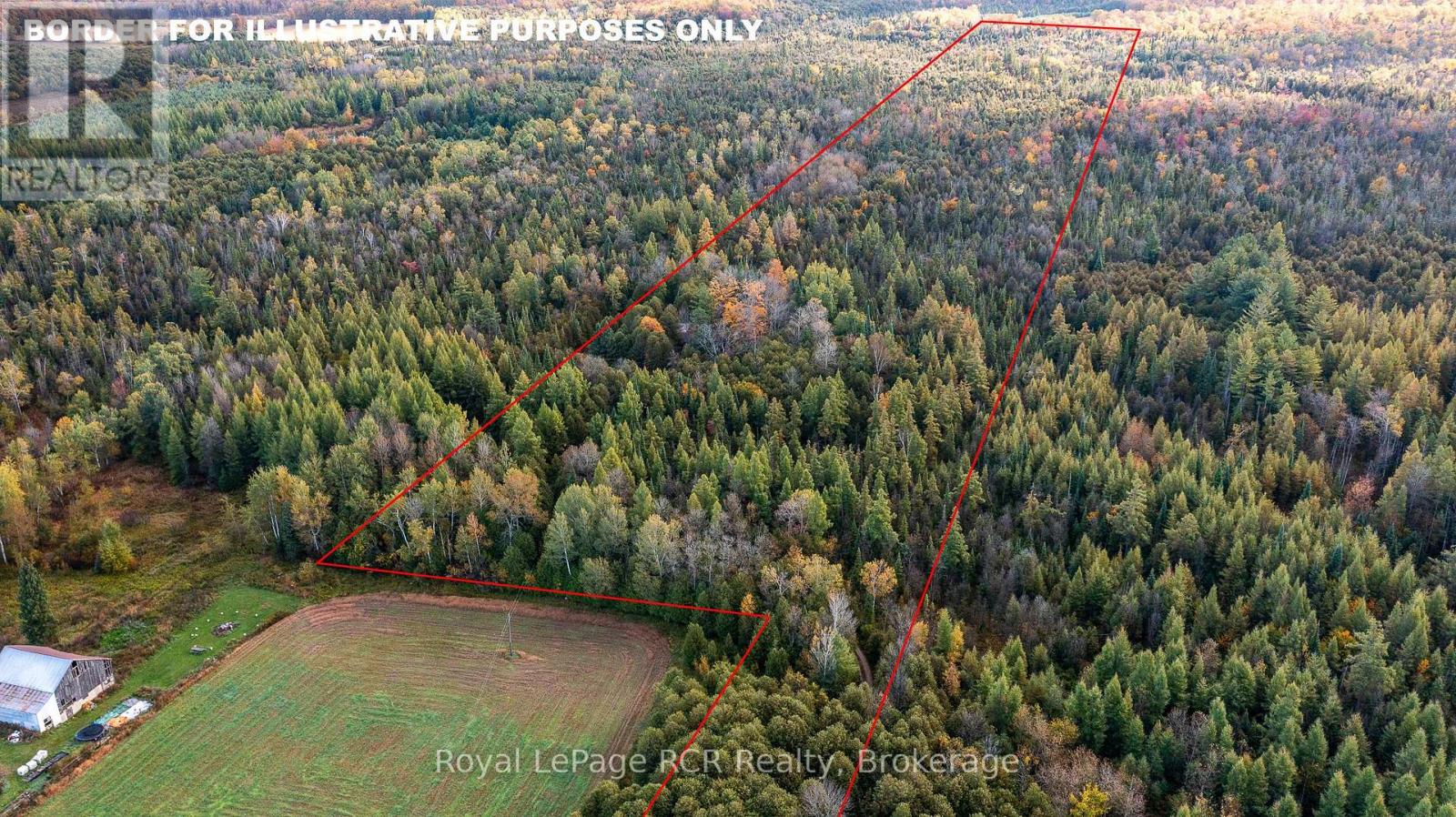 315693 6 Highway, Chatsworth, Ontario  N0H 1G0 - Photo 7 - X12452031