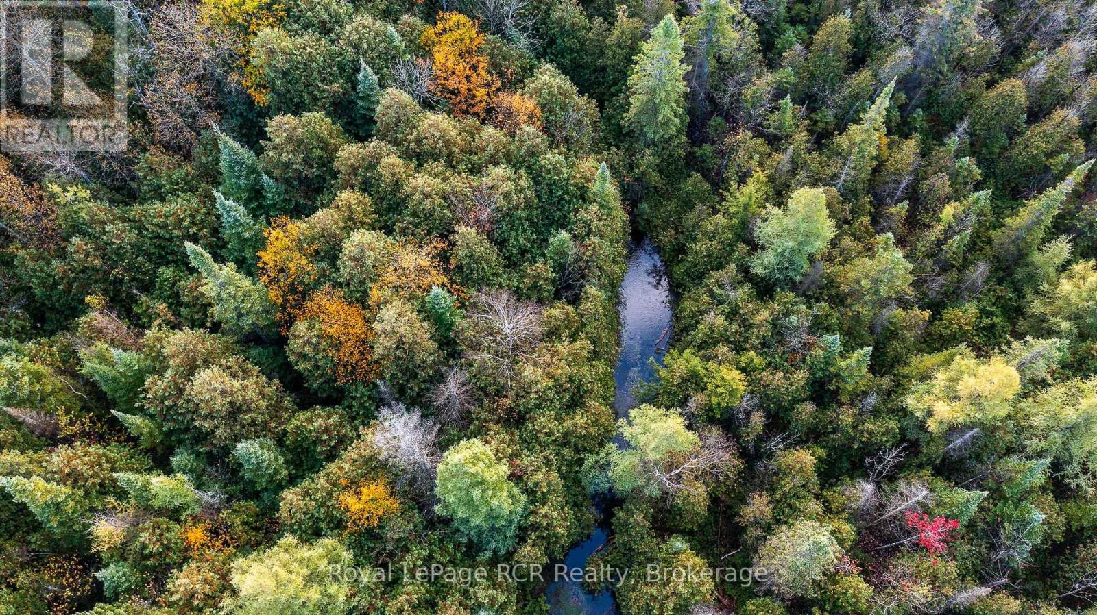 315693 6 Highway, Chatsworth, Ontario  N0H 1G0 - Photo 41 - X12452031