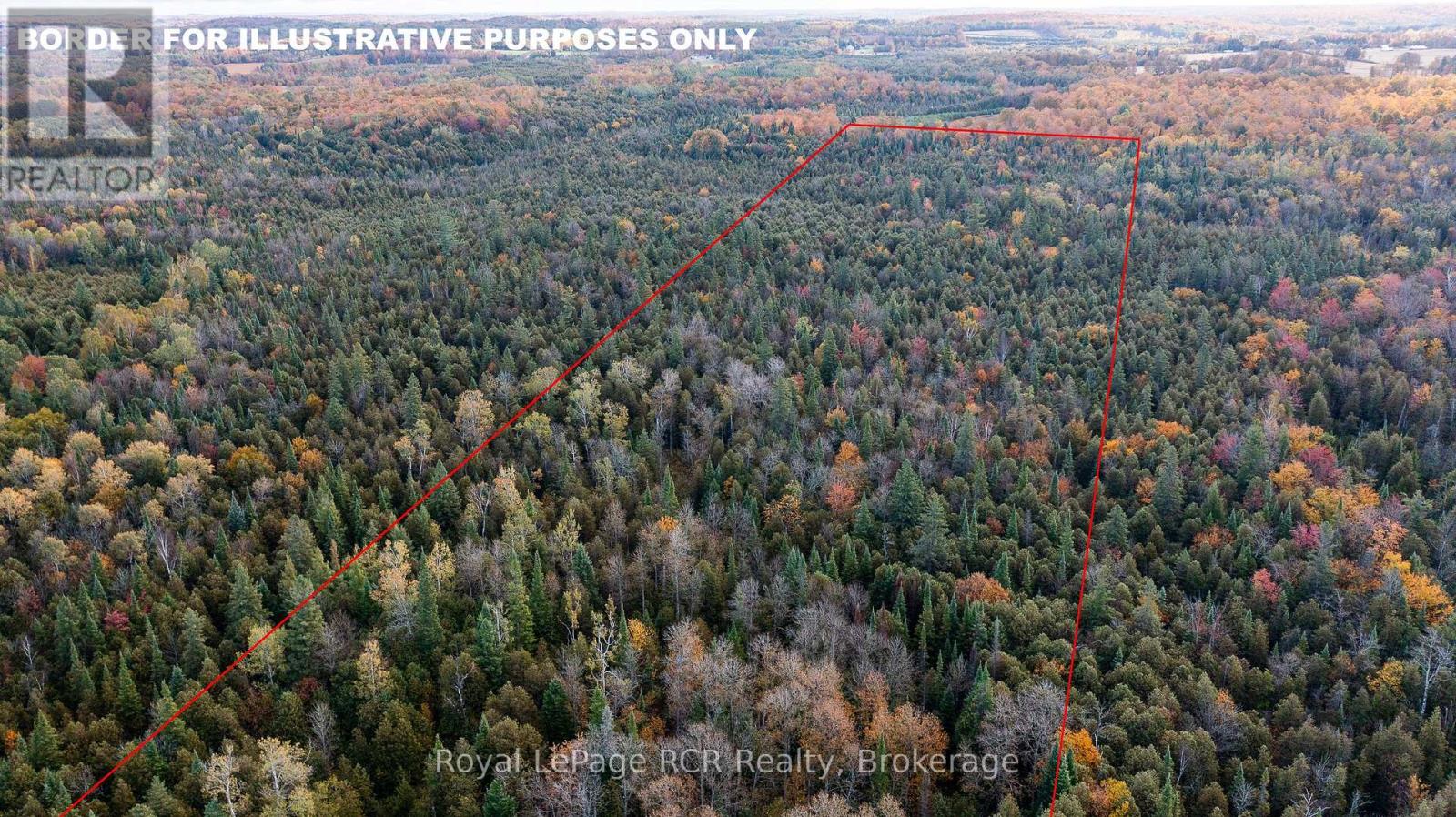 315693 6 Highway, Chatsworth, Ontario  N0H 1G0 - Photo 8 - X12452031