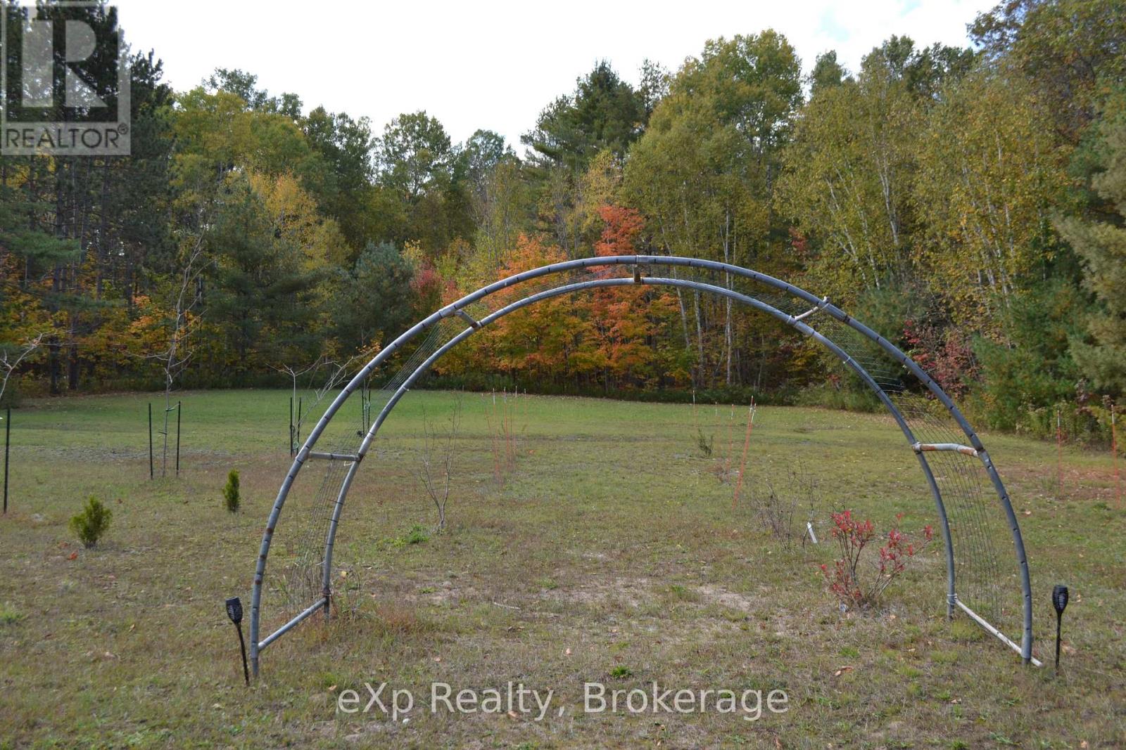62 Highway 124, Mcdougall, Ontario  P2A 2W9 - Photo 41 - X12383851