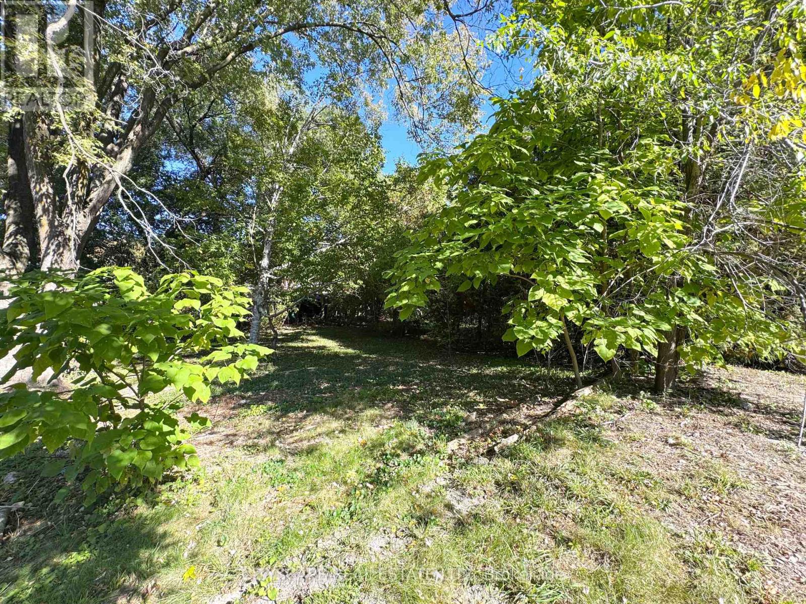353a Ontario Street, Newmarket, Ontario  L3Y 2K2 - Photo 4 - N12452743