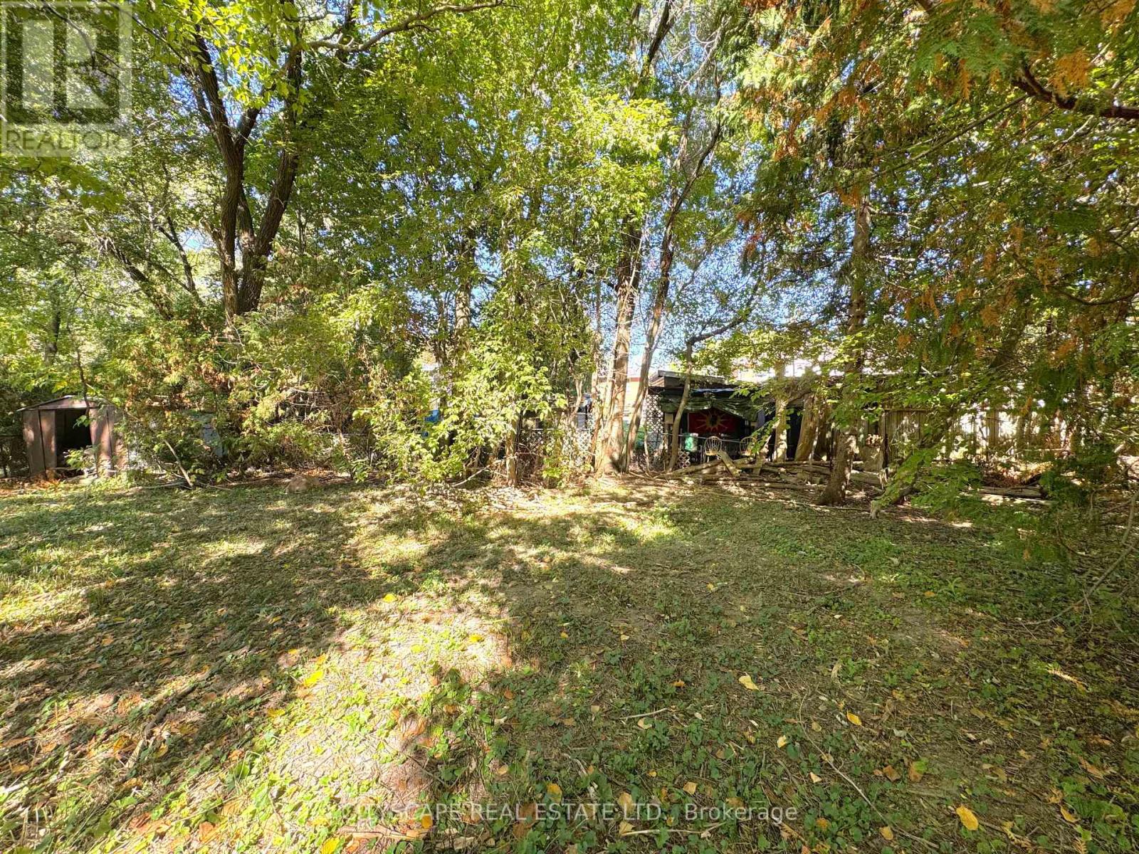 353b Ontario Street, Newmarket, Ontario  L3Y 2K2 - Photo 6 - N12452744