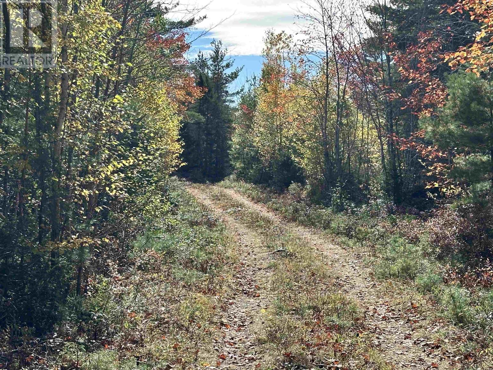 Lot 26 Medway River Road, Charleston, Nova Scotia  B0J 2H0 - Photo 3 - 202523916