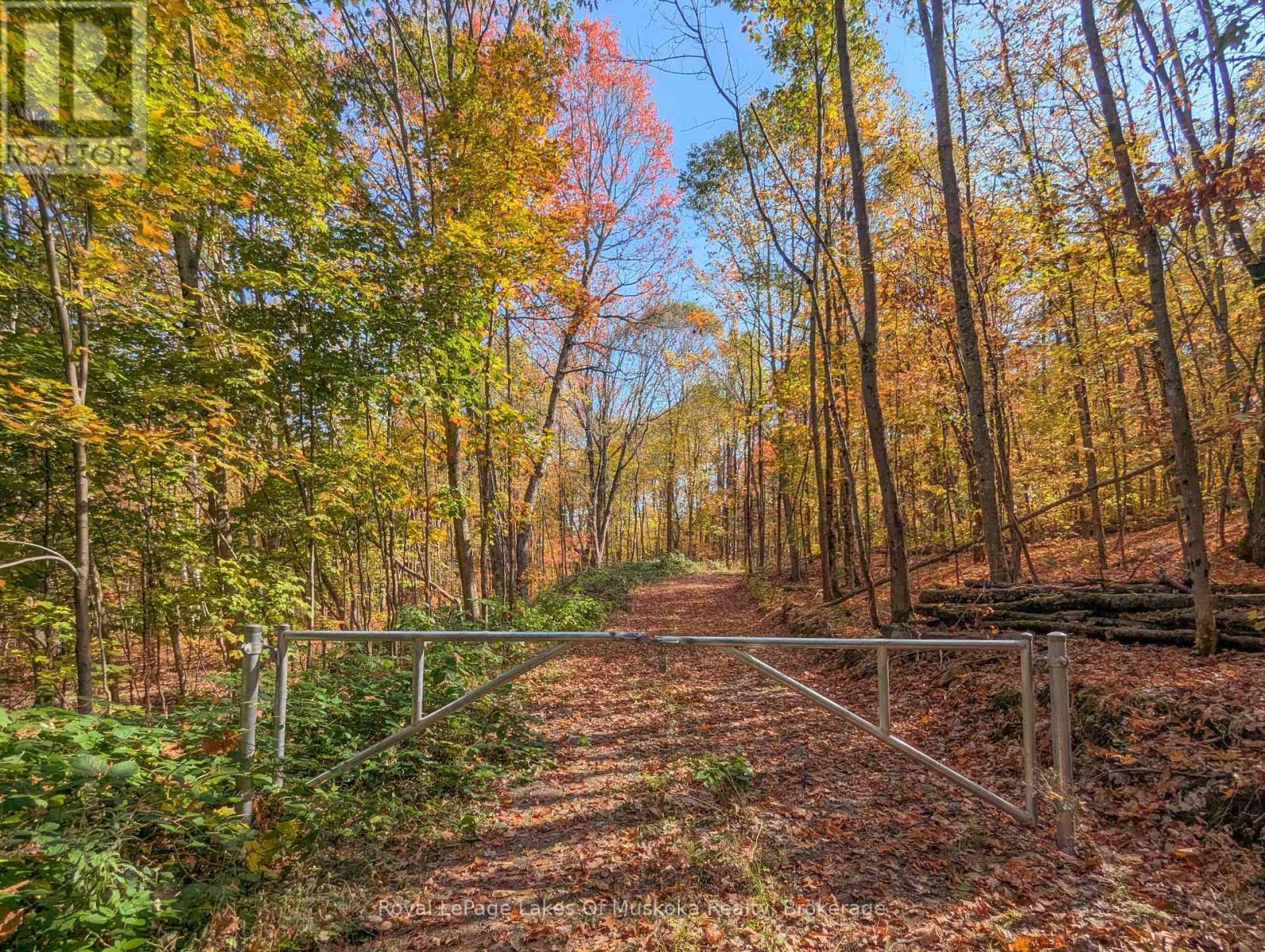 1779 Muskoka Rd 118 Road W, Muskoka Lakes, Ontario  P1L 1W8 - Photo 47 - X12452920