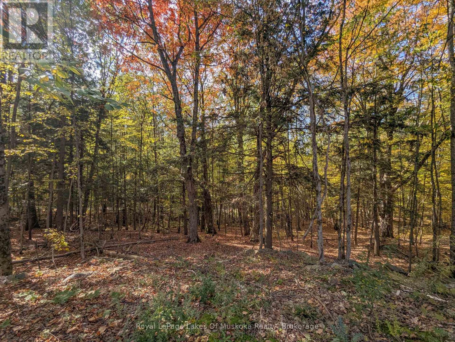 1779 Muskoka Rd 118 Road W, Muskoka Lakes, Ontario  P1L 1W8 - Photo 5 - X12452920