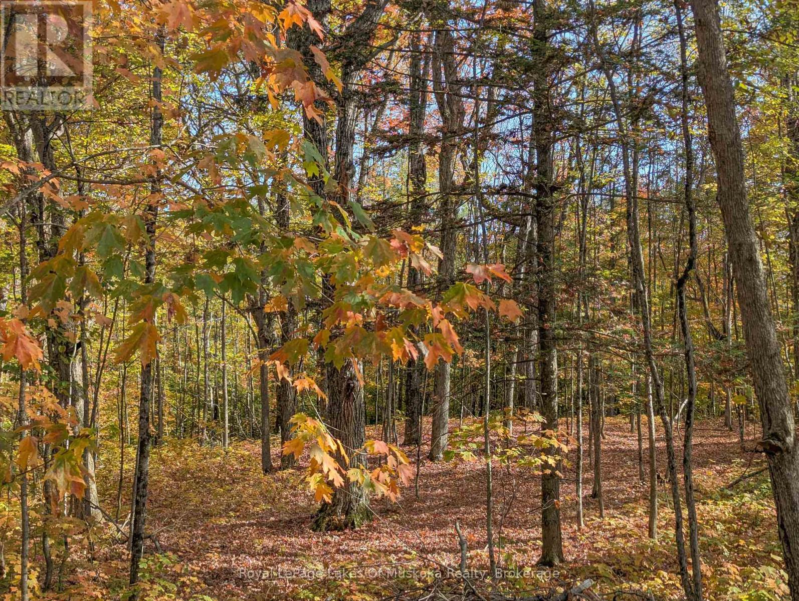 1779 Muskoka Rd 118 Road W, Muskoka Lakes, Ontario  P1L 1W8 - Photo 6 - X12452920