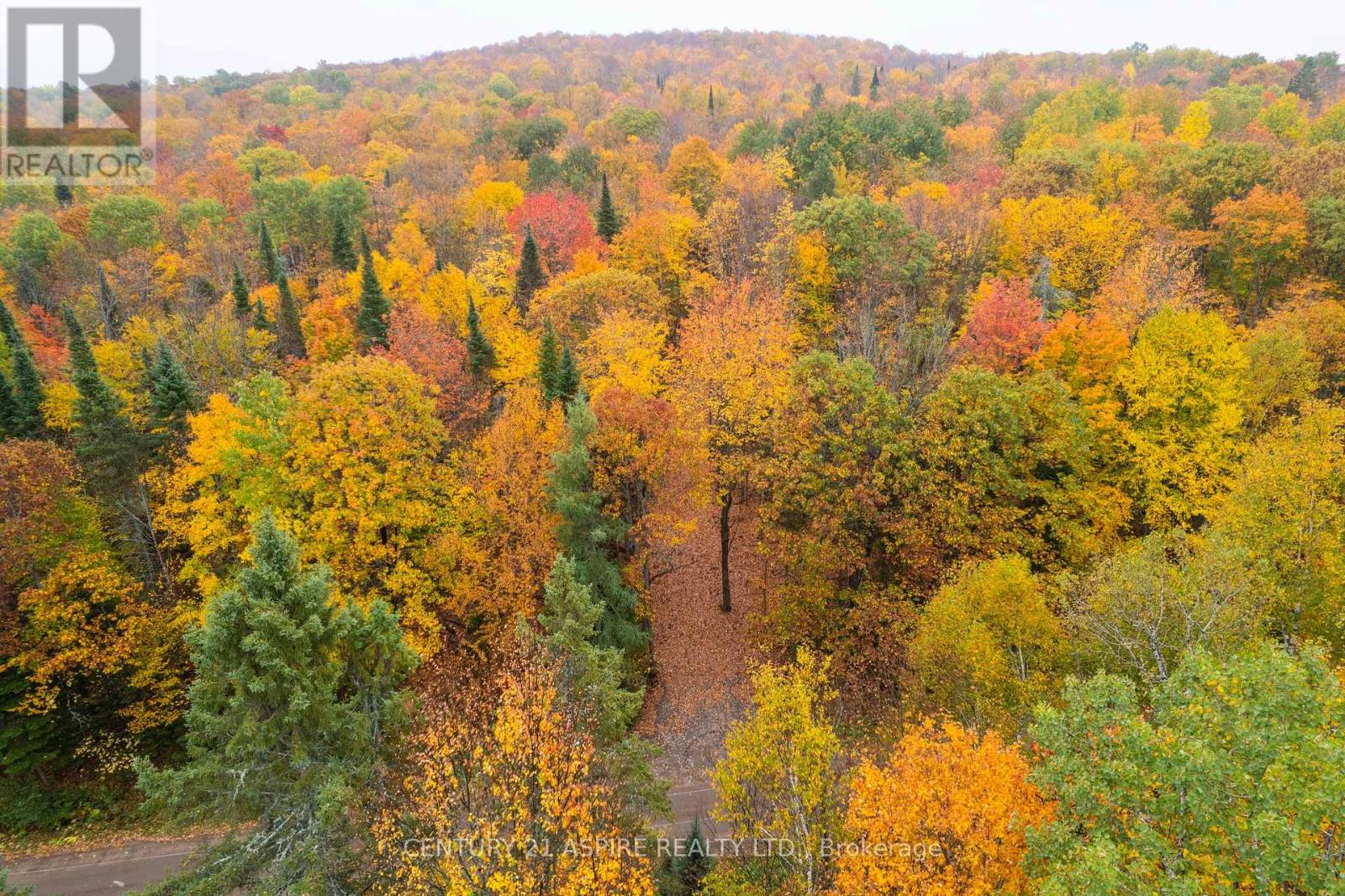 00 Peplinskie Road, Madawaska Valley, Ontario  K0J 1L0 - Photo 1 - X12452924
