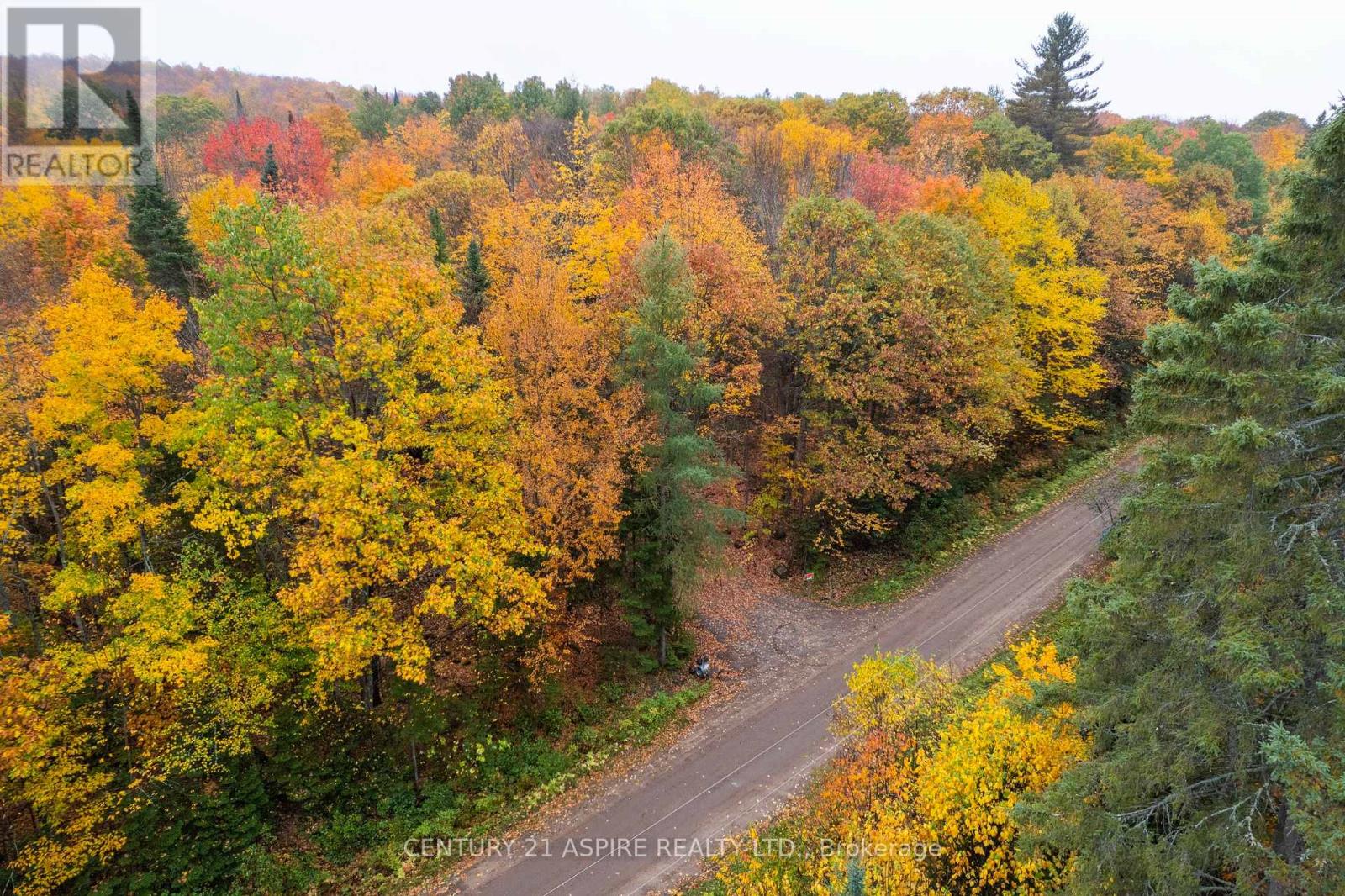 00 Peplinskie Road, Madawaska Valley, Ontario  K0J 1L0 - Photo 2 - X12452924
