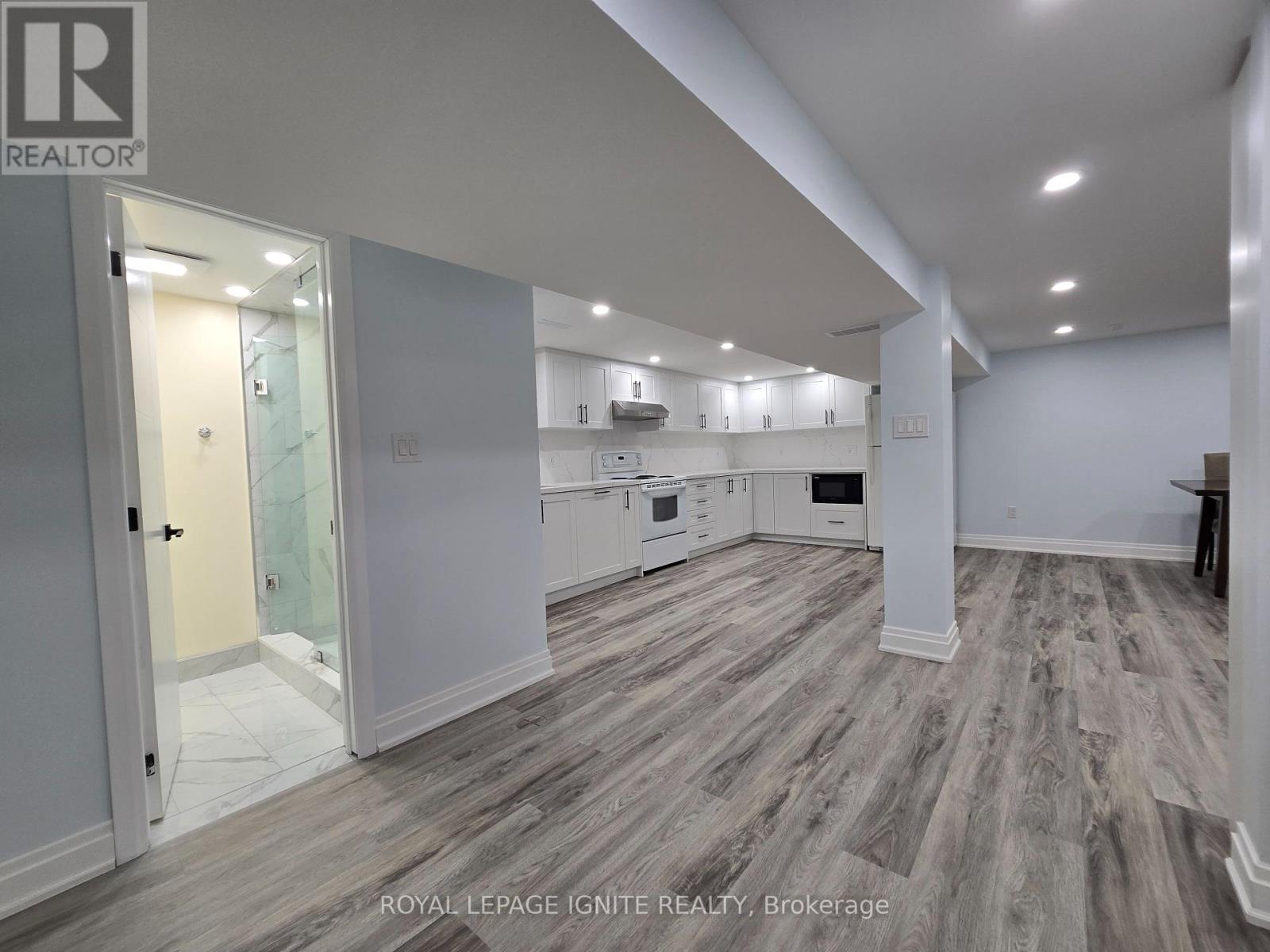 Basement - 764 Elgin Street, Newmarket, Ontario  L3Y 3B8 - Photo 12 - N12452904