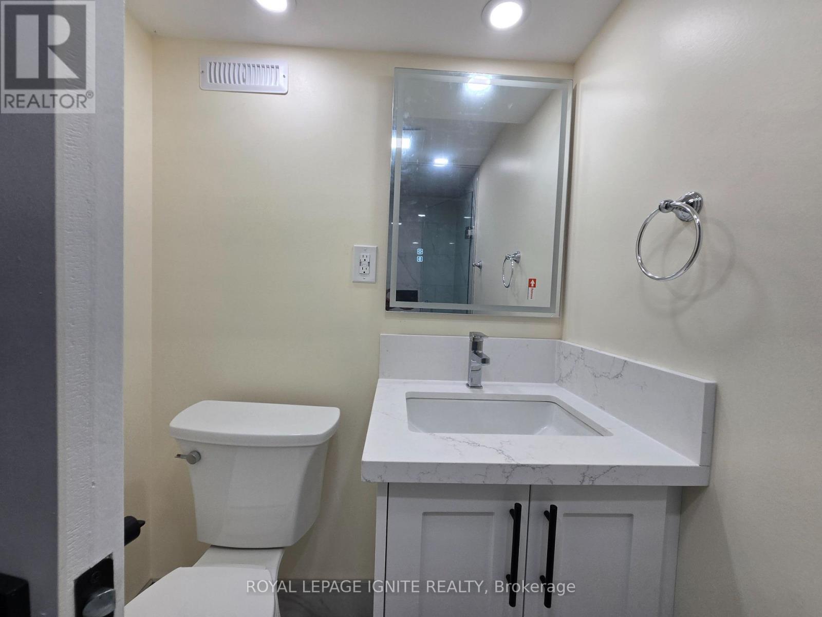 Basement - 764 Elgin Street, Newmarket, Ontario  L3Y 3B8 - Photo 13 - N12452904