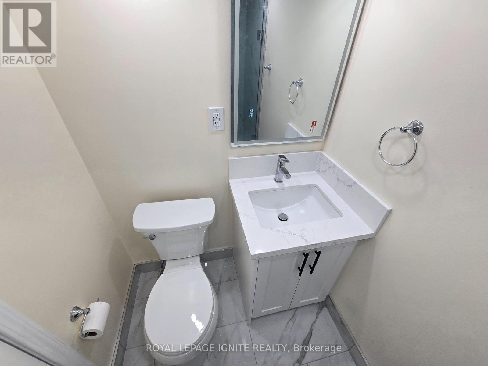 Basement - 764 Elgin Street, Newmarket, Ontario  L3Y 3B8 - Photo 14 - N12452904
