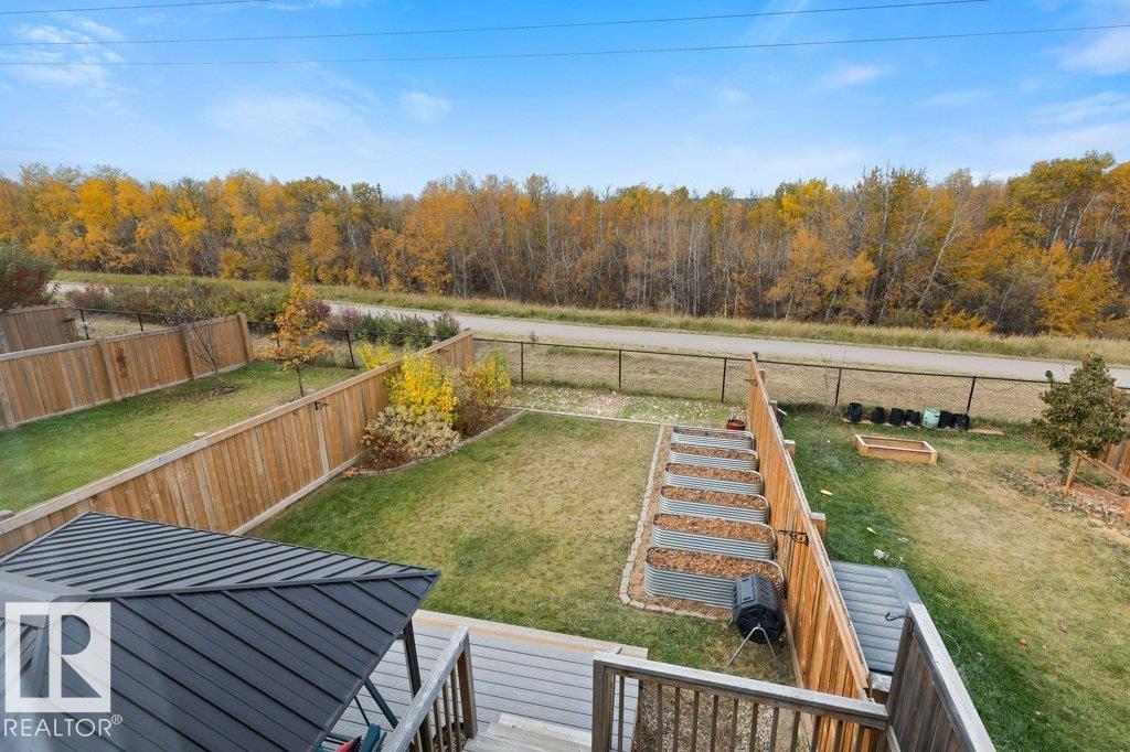 3873 Robins Cr Nw, Edmonton, Alberta  T5S 0M8 - Photo 34 - E4461374