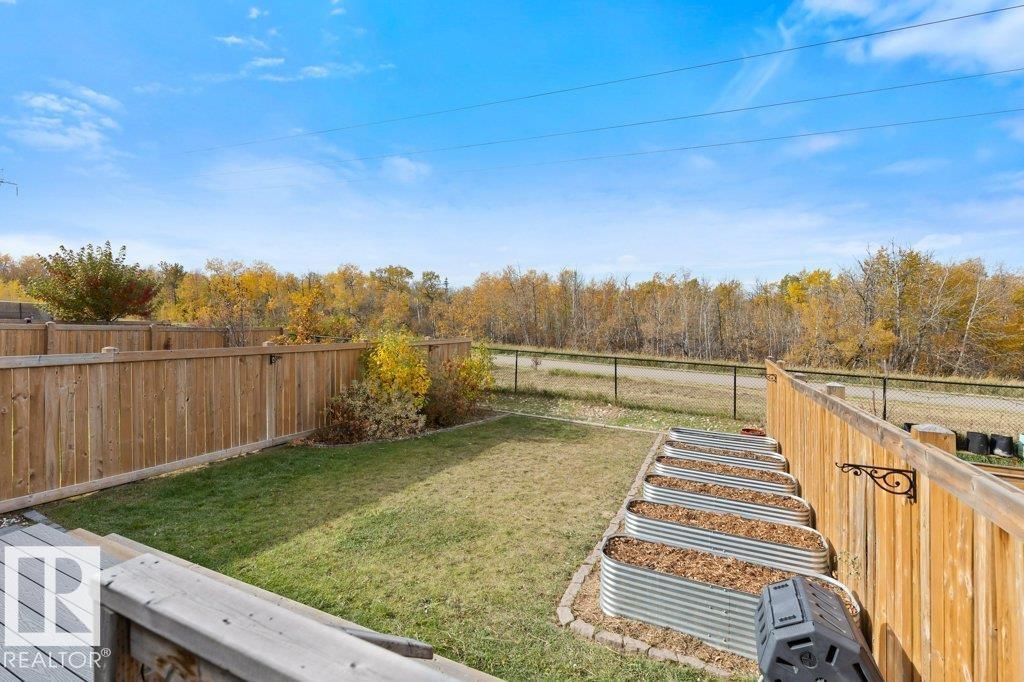 3873 Robins Cr Nw, Edmonton, Alberta  T5S 0M8 - Photo 36 - E4461374