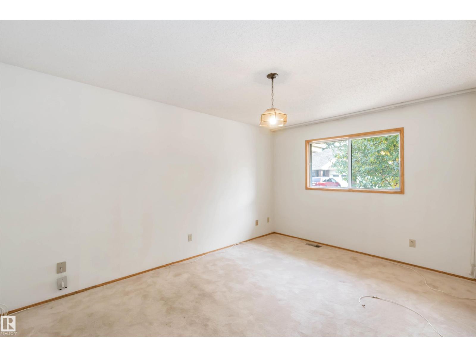 223 Oeming Rd Nw Nw, Edmonton, Alberta  T6R 1M1 - Photo 21 - E4461375