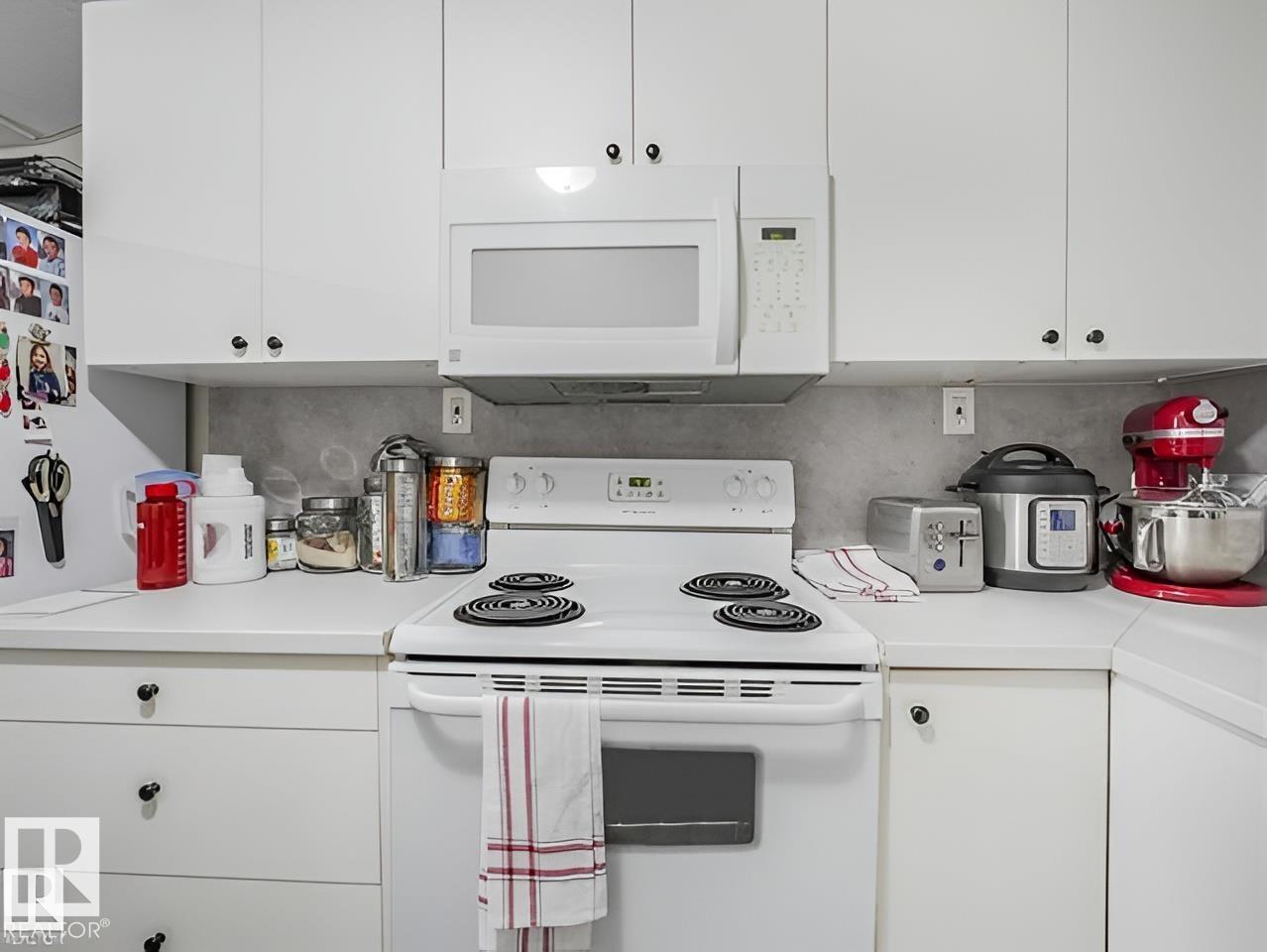 10345 159 St Nw, Edmonton, Alberta  T5P 3A5 - Photo 24 - E4461377