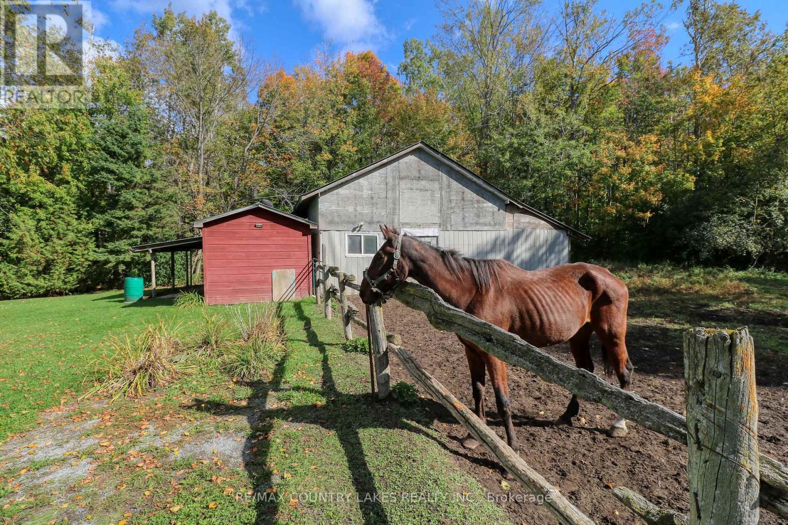 1364 Farms Road, Kawartha Lakes, Ontario  K0M 2T0 - Photo 29 - X12452821