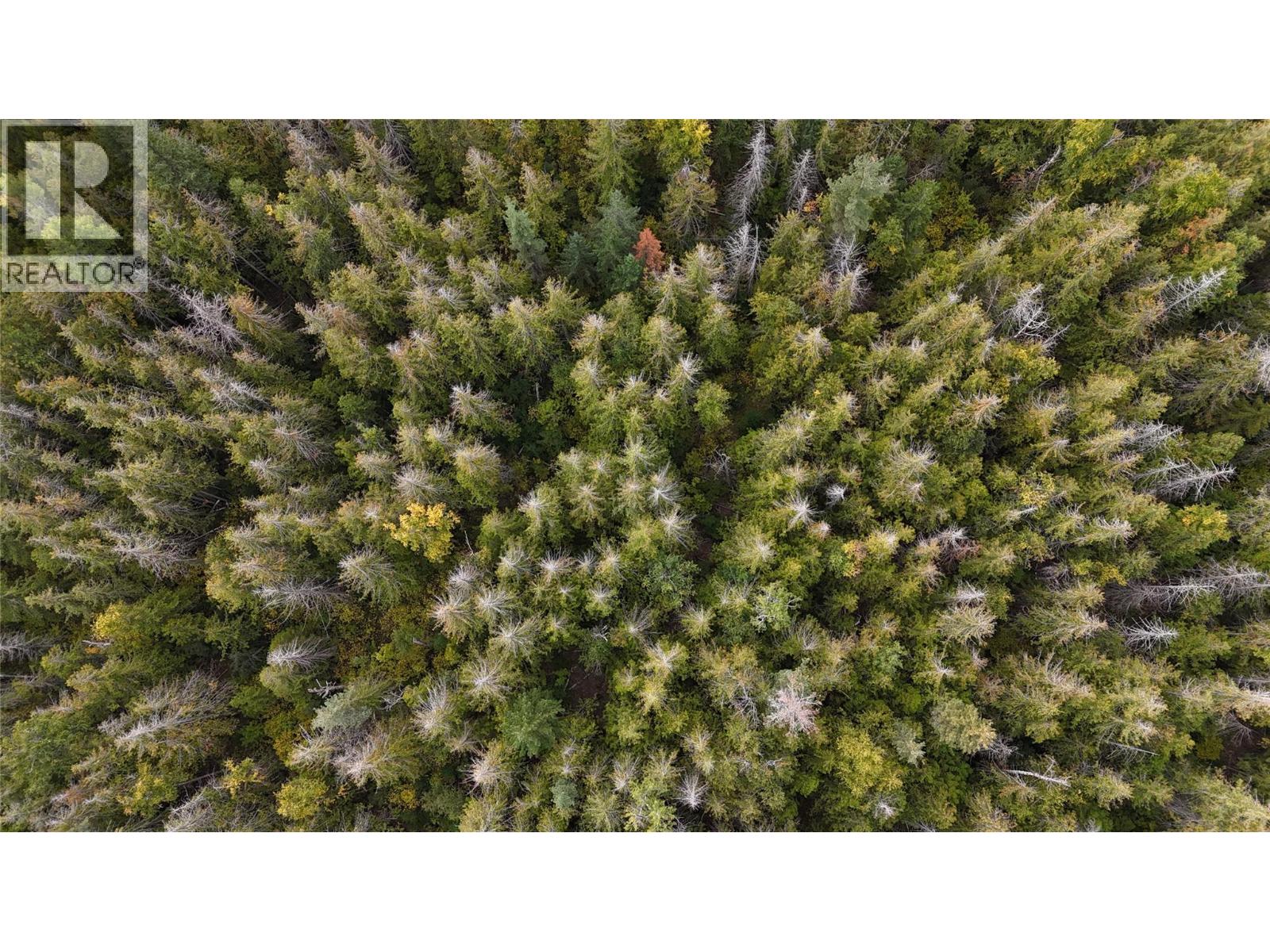 Huatala Road Lot# Ls 10/15, Sorrento, British Columbia  V0E 2W1 - Photo 5 - 10365335