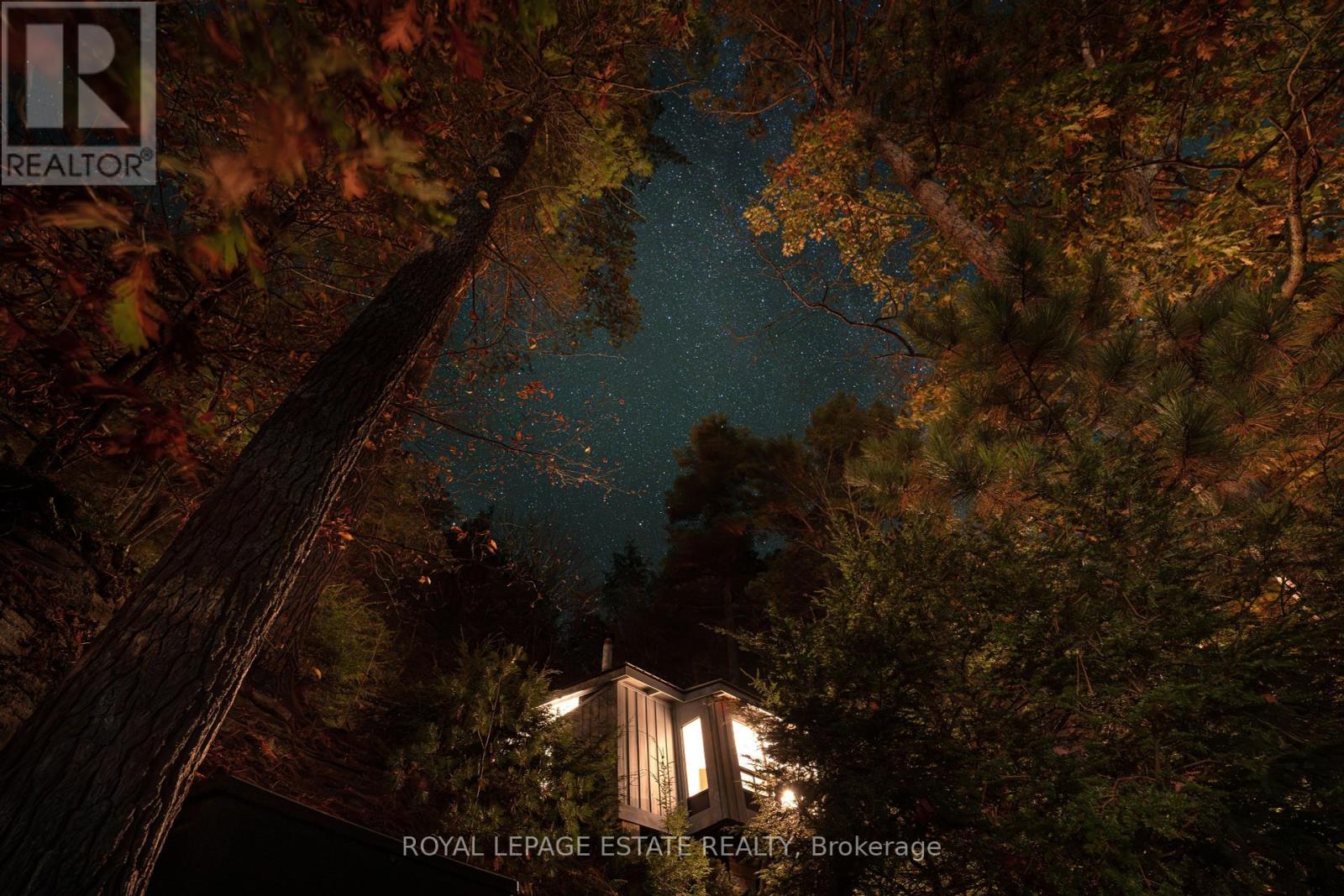 329 Fire Route 247 Road, North Kawartha, Ontario  K0L 1A0 - Photo 45 - X12452153