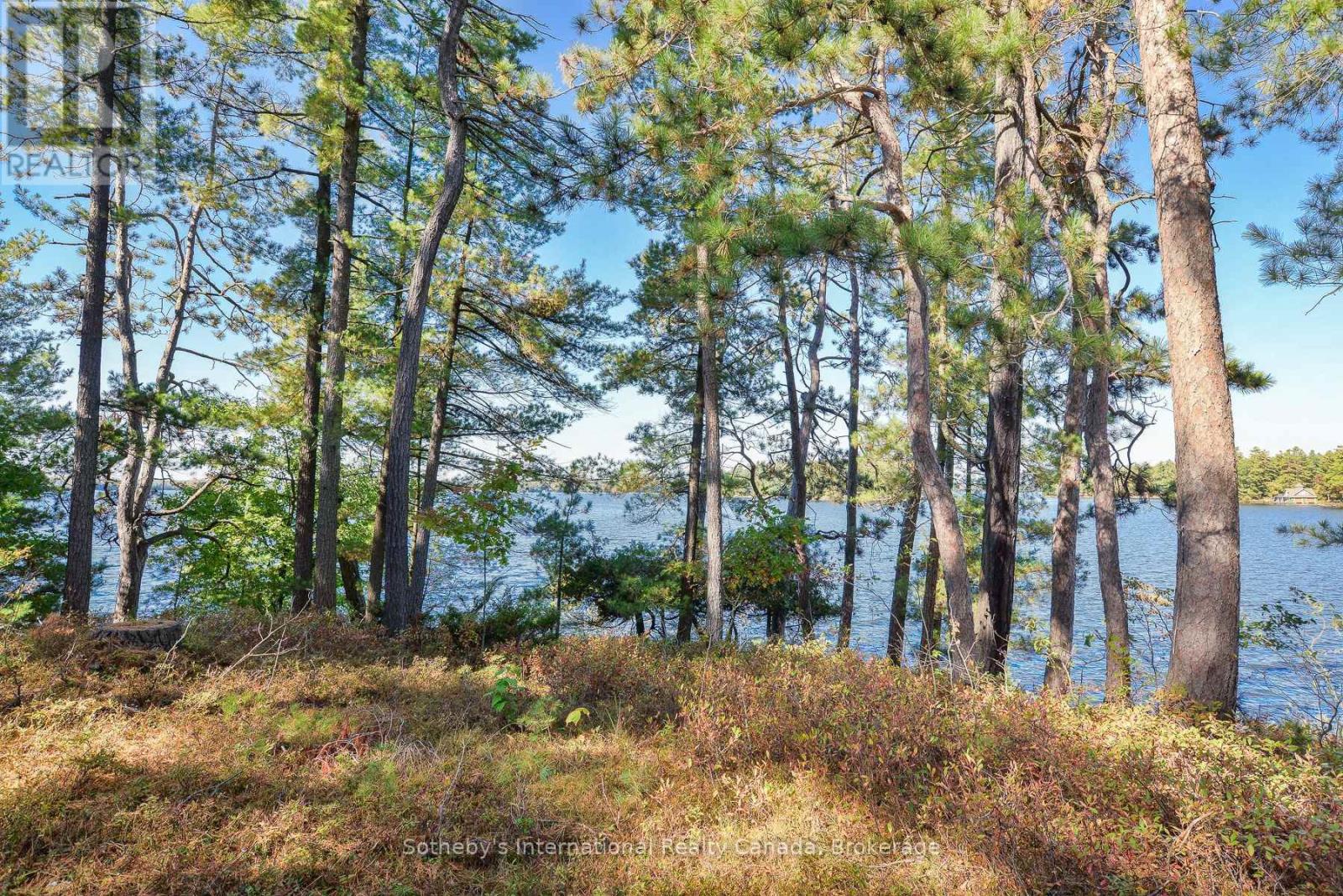 1326 Browning Island, Bracebridge, Ontario  P1L 1X2 - Photo 32 - X12453013