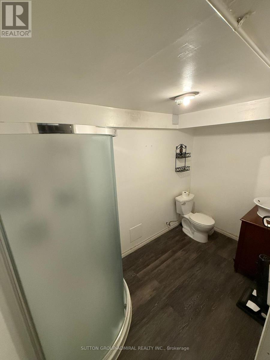 Basement - 474 Queen Street W, Toronto, Ontario  M5V 2B2 - Photo 3 - C12453065