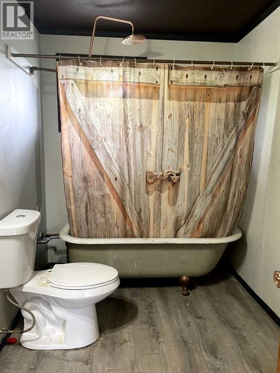 5120 45 Street, Provost, Alberta  T0B 3S0 - Photo 11 - A2230771