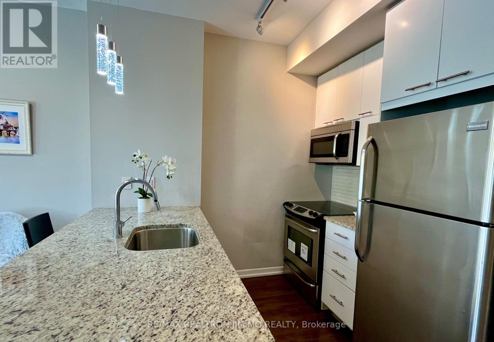 216 - 66 Forest Manor Road, Toronto, Ontario  M2J 0B7 - Photo 9 - C12453333