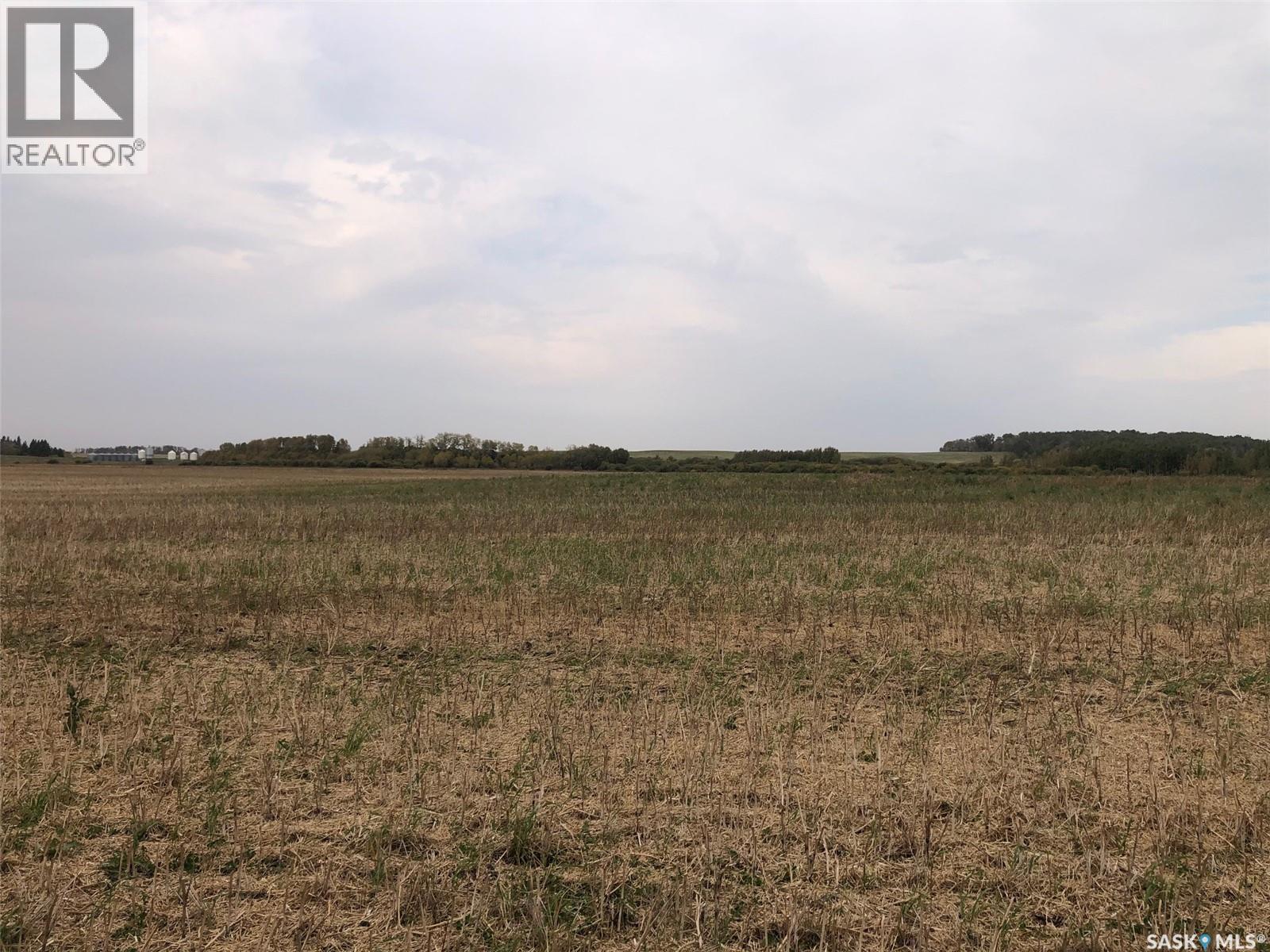 Tomilin Farm, Keys Rm No. 303, Saskatchewan  S0A 1S0 - Photo 10 - SK020439