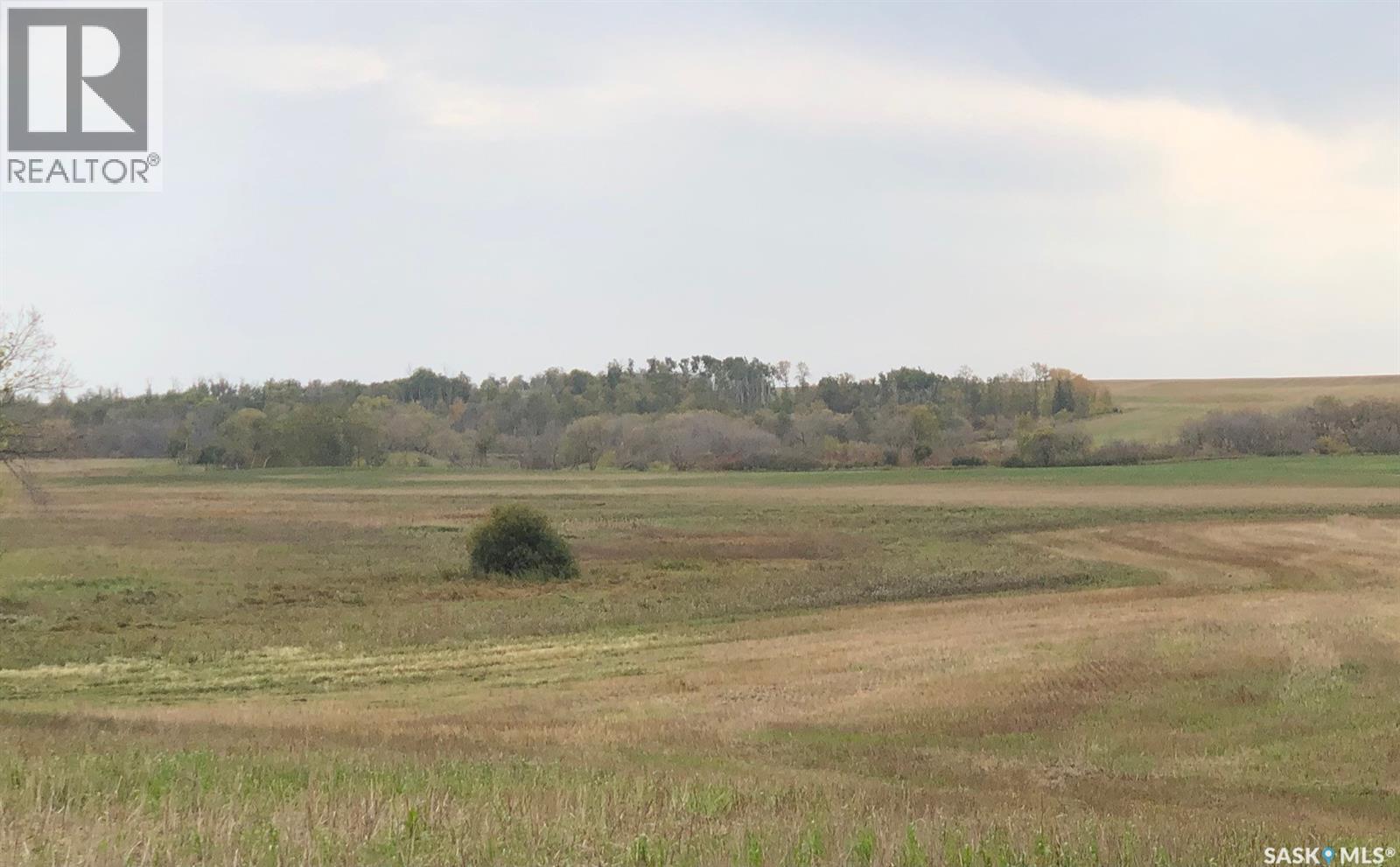 Tomilin Farm, Keys Rm No. 303, Saskatchewan  S0A 1S0 - Photo 13 - SK020439