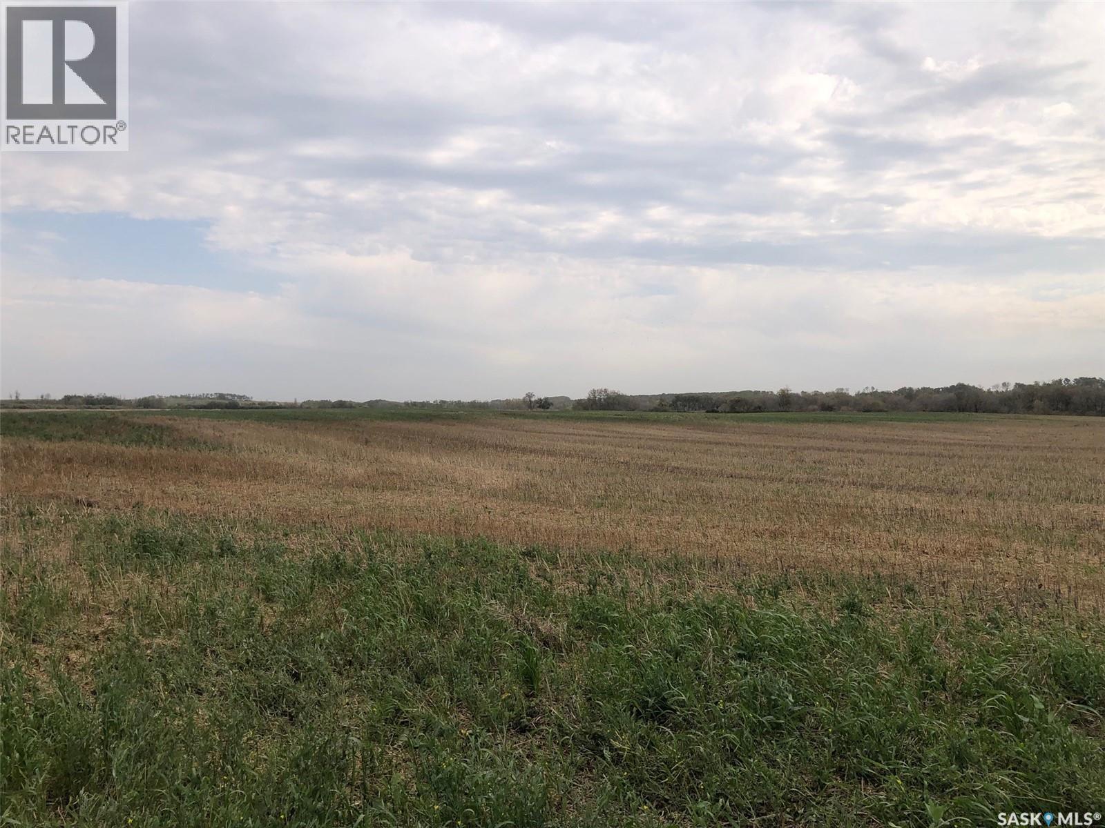 Tomilin Farm, Keys Rm No. 303, Saskatchewan  S0A 1S0 - Photo 14 - SK020439