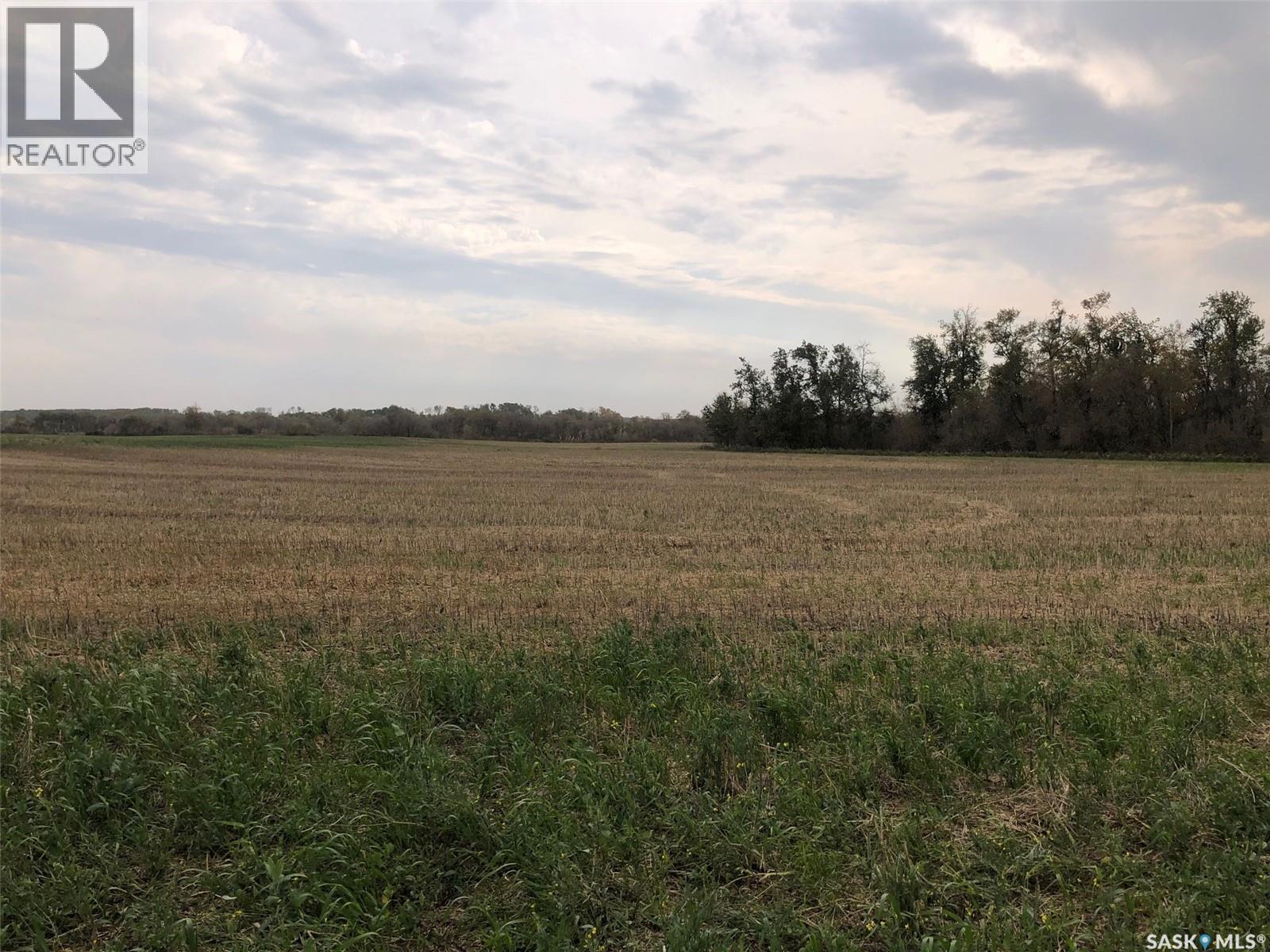 Tomilin Farm, Keys Rm No. 303, Saskatchewan  S0A 1S0 - Photo 15 - SK020439