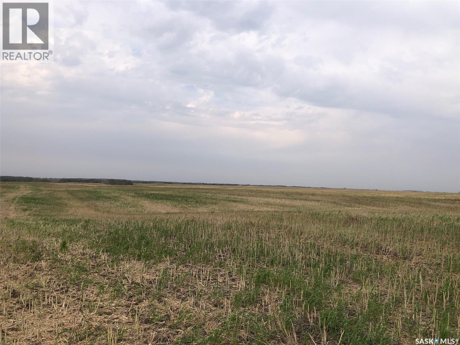 Tomilin Farm, Keys Rm No. 303, Saskatchewan  S0A 1S0 - Photo 9 - SK020439