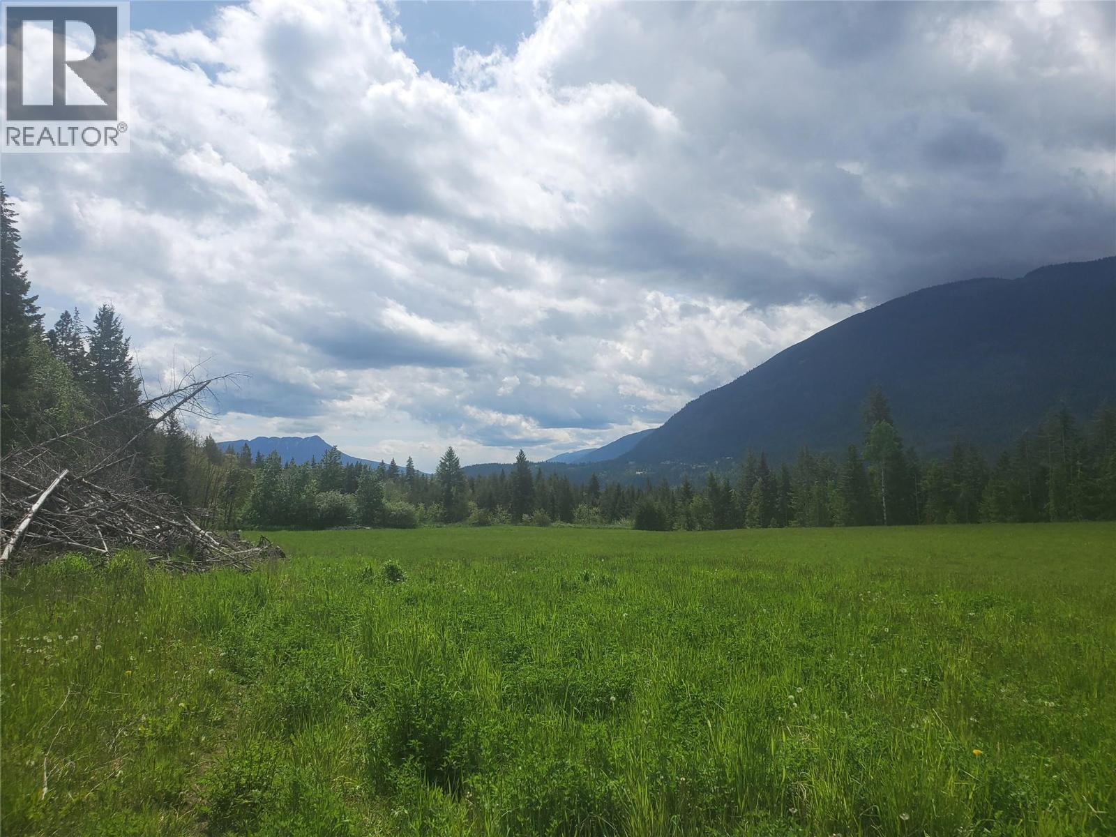 1012 Addison Road, Tappen, British Columbia  V0E 2X1 - Photo 5 - 10360579