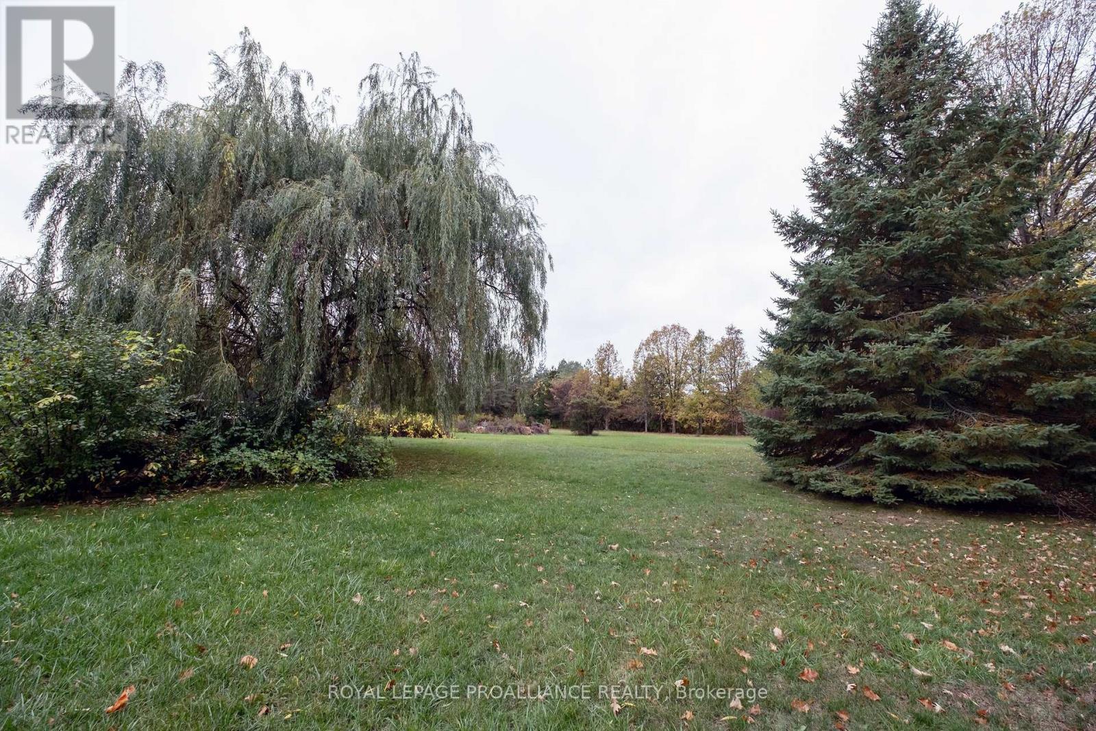 208 Ritz Road, Belleville, Ontario  K0K 1V0 - Photo 31 - X12453367