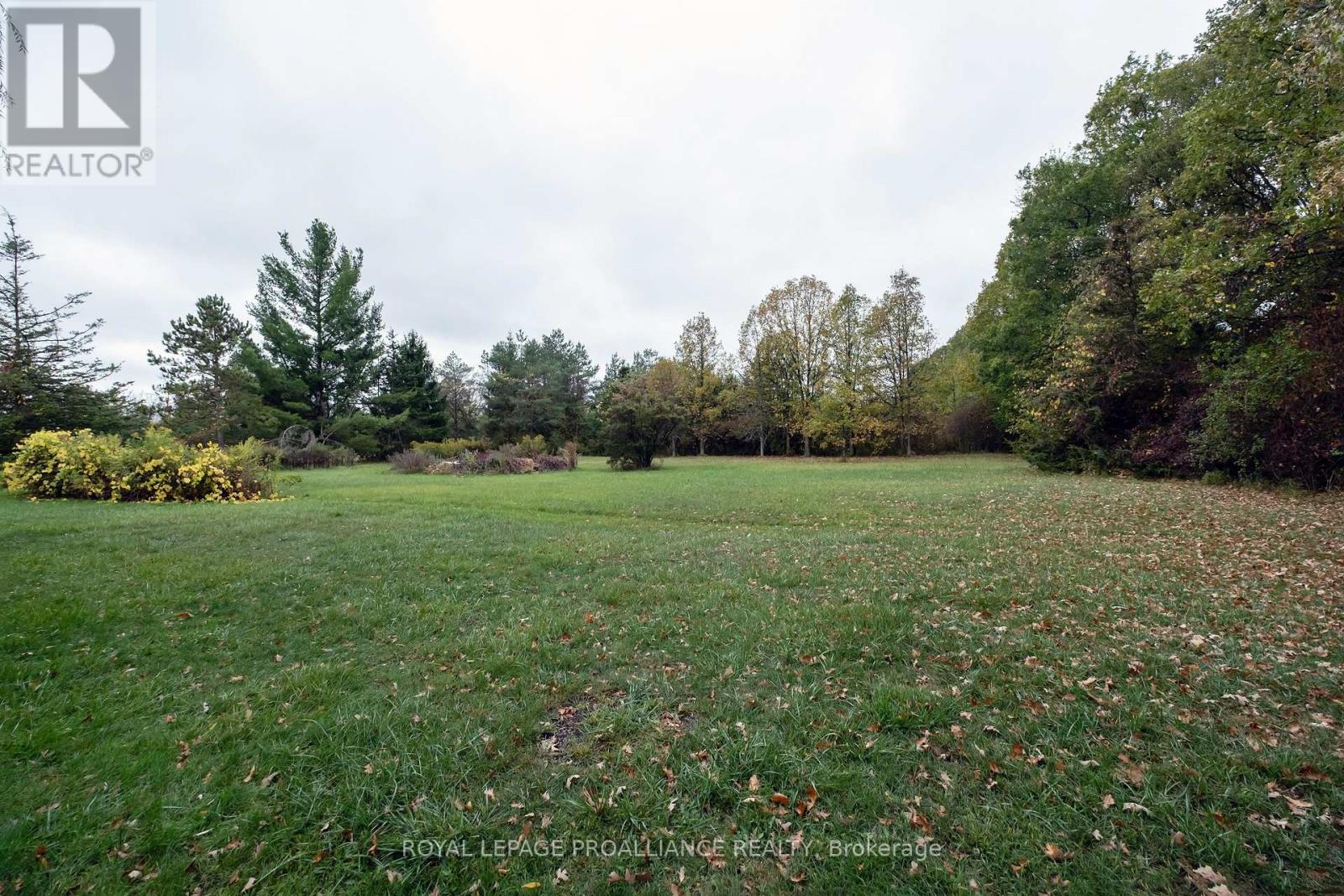 208 Ritz Road, Belleville, Ontario  K0K 1V0 - Photo 34 - X12453367
