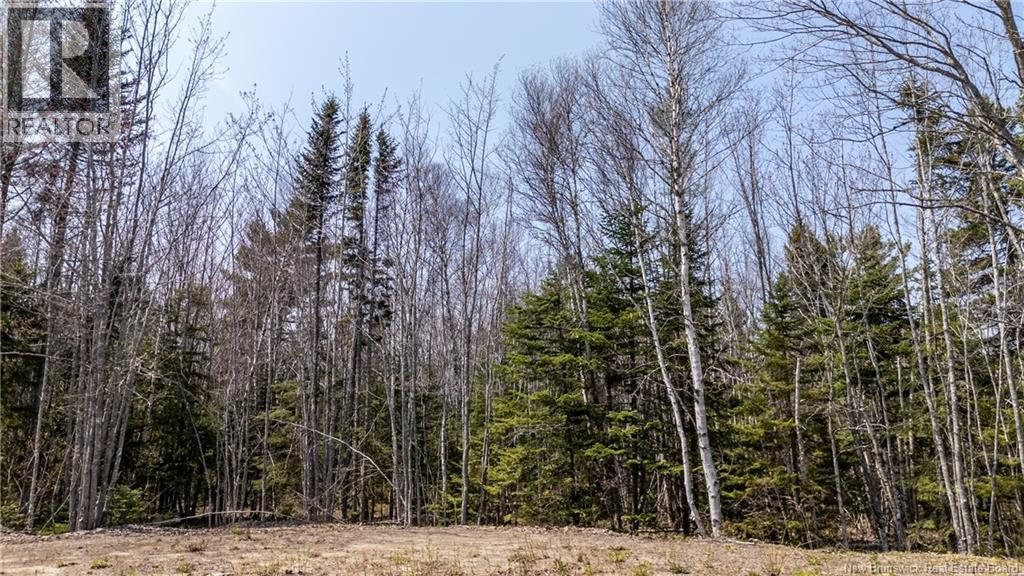 1387 Bells Mills Road, Richibouctou-Village, New Brunswick  E4W 5N9 - Photo 10 - NB128226