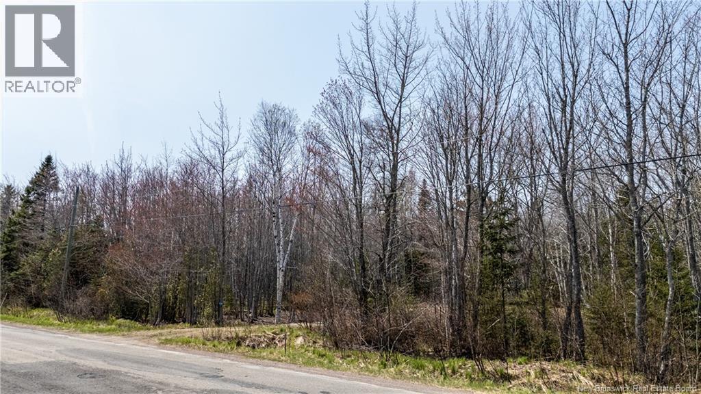 1387 Bells Mills Road, Richibouctou-Village, New Brunswick  E4W 5N9 - Photo 11 - NB128226