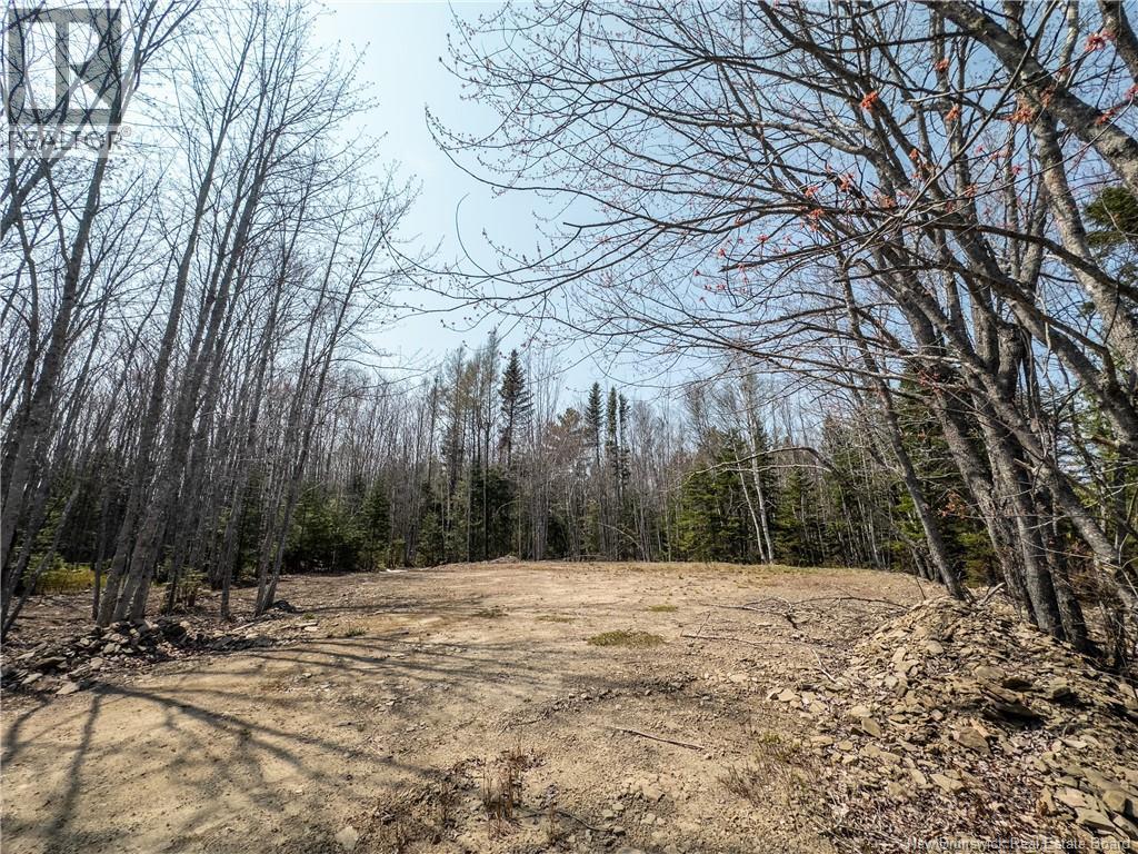 1387 Bells Mills Road, Richibouctou-Village, New Brunswick  E4W 5N9 - Photo 16 - NB128226