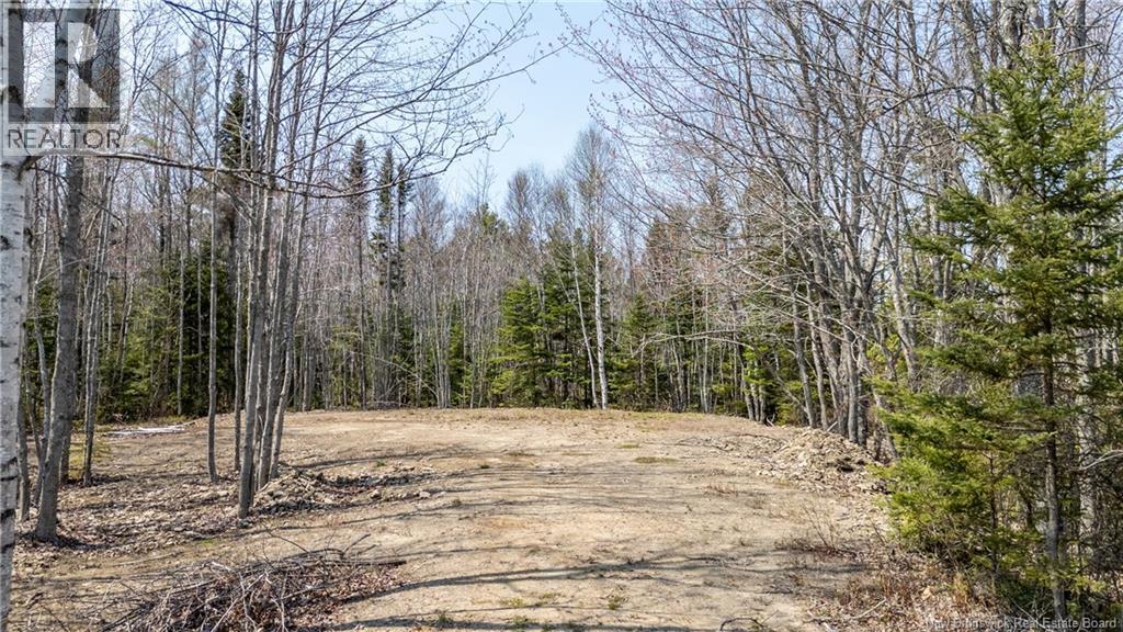 1387 Bells Mills Road, Richibouctou-Village, New Brunswick  E4W 5N9 - Photo 17 - NB128226