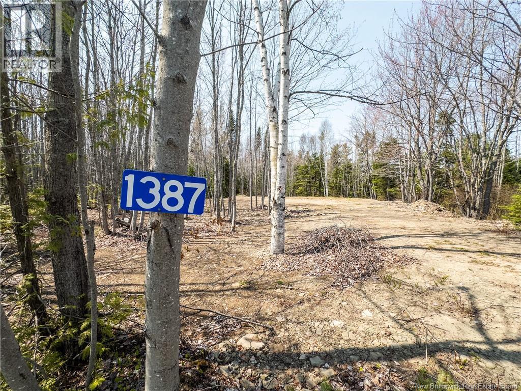 1387 Bells Mills Road, Richibouctou-Village, New Brunswick  E4W 5N9 - Photo 2 - NB128226