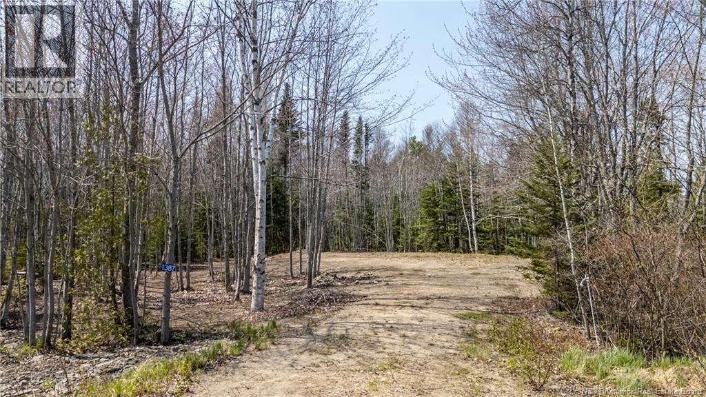 1387 Bells Mills Road, Richibouctou-Village, New Brunswick  E4W 5N9 - Photo 21 - NB128226