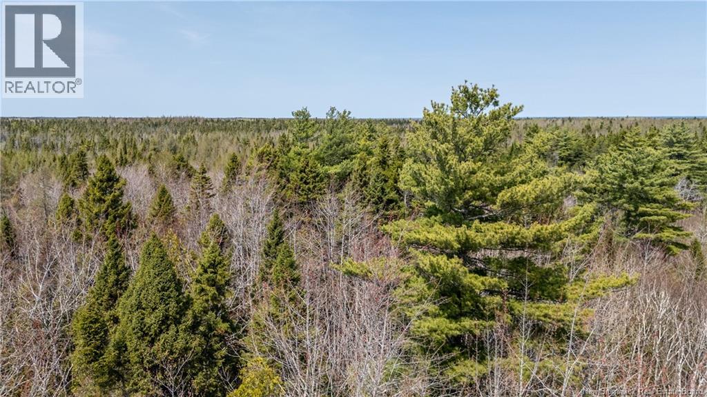 1387 Bells Mills Road, Richibouctou-Village, New Brunswick  E4W 5N9 - Photo 25 - NB128226