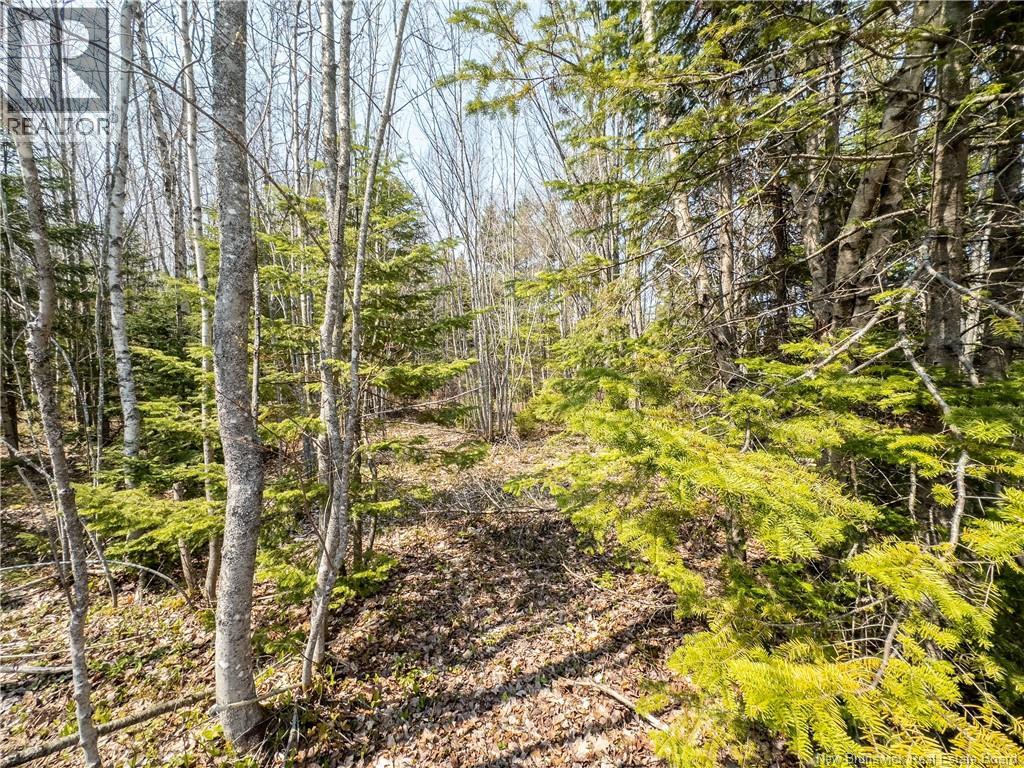 1387 Bells Mills Road, Richibouctou-Village, New Brunswick  E4W 5N9 - Photo 28 - NB128226