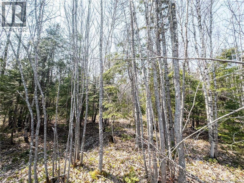 1387 Bells Mills Road, Richibouctou-Village, New Brunswick  E4W 5N9 - Photo 29 - NB128226