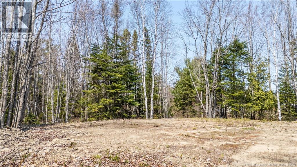 1387 Bells Mills Road, Richibouctou-Village, New Brunswick  E4W 5N9 - Photo 8 - NB128226