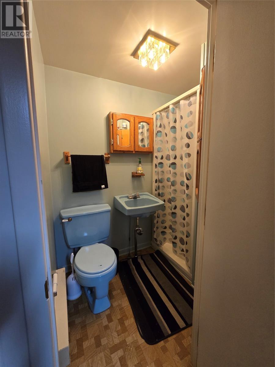 421 Tamarack Drive, Labrador City, Newfoundland & Labrador  A2V 2W2 - Photo 29 - 1291281