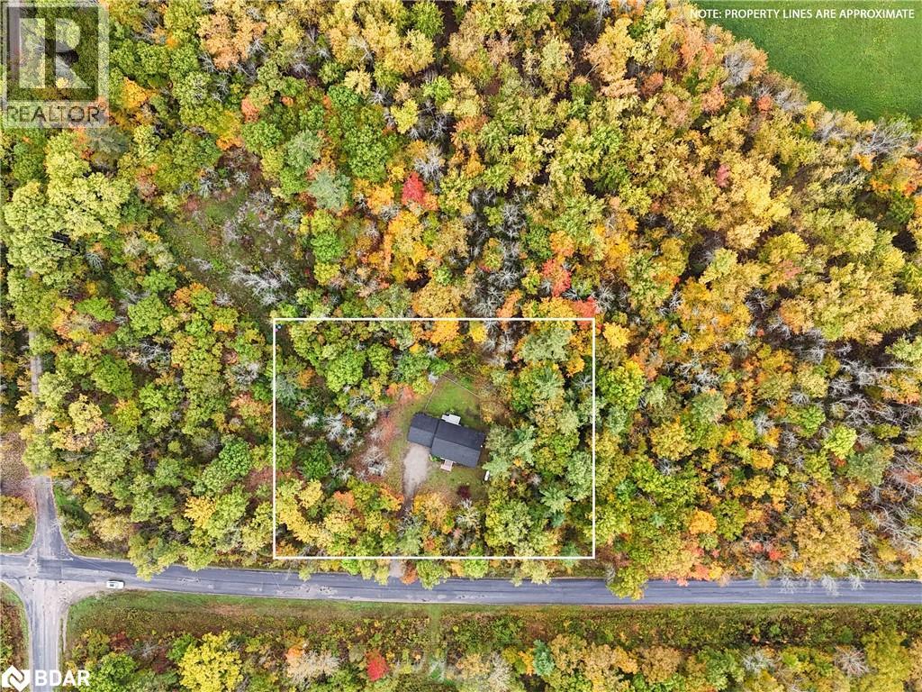 2372 Kinnear Sideroad, Coldwater, Ontario  L0K 1E0 - Photo 37 - 40777683