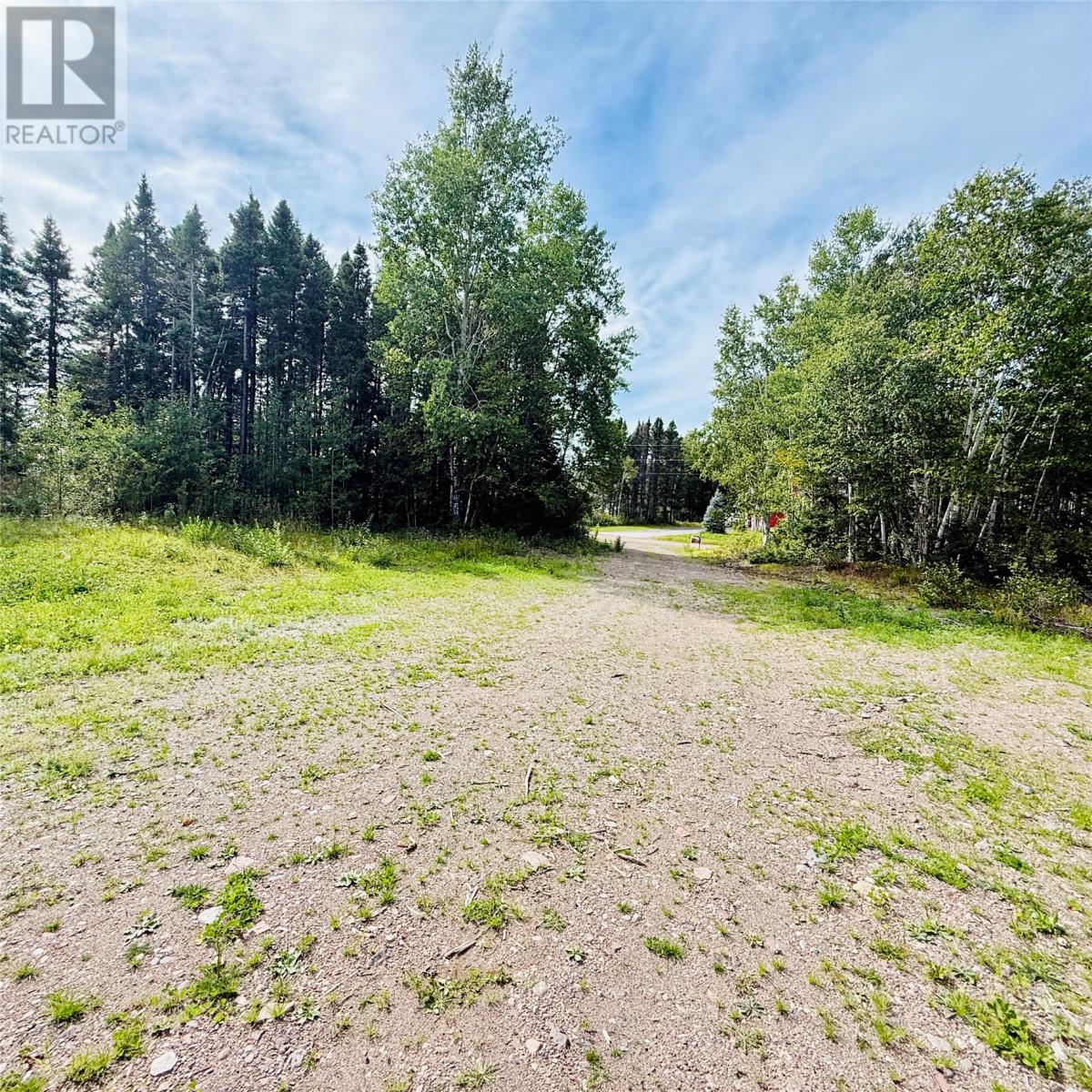 5 Burnt Berry Farm Road, Springdale, Newfoundland & Labrador   - Photo 7 - 1289102
